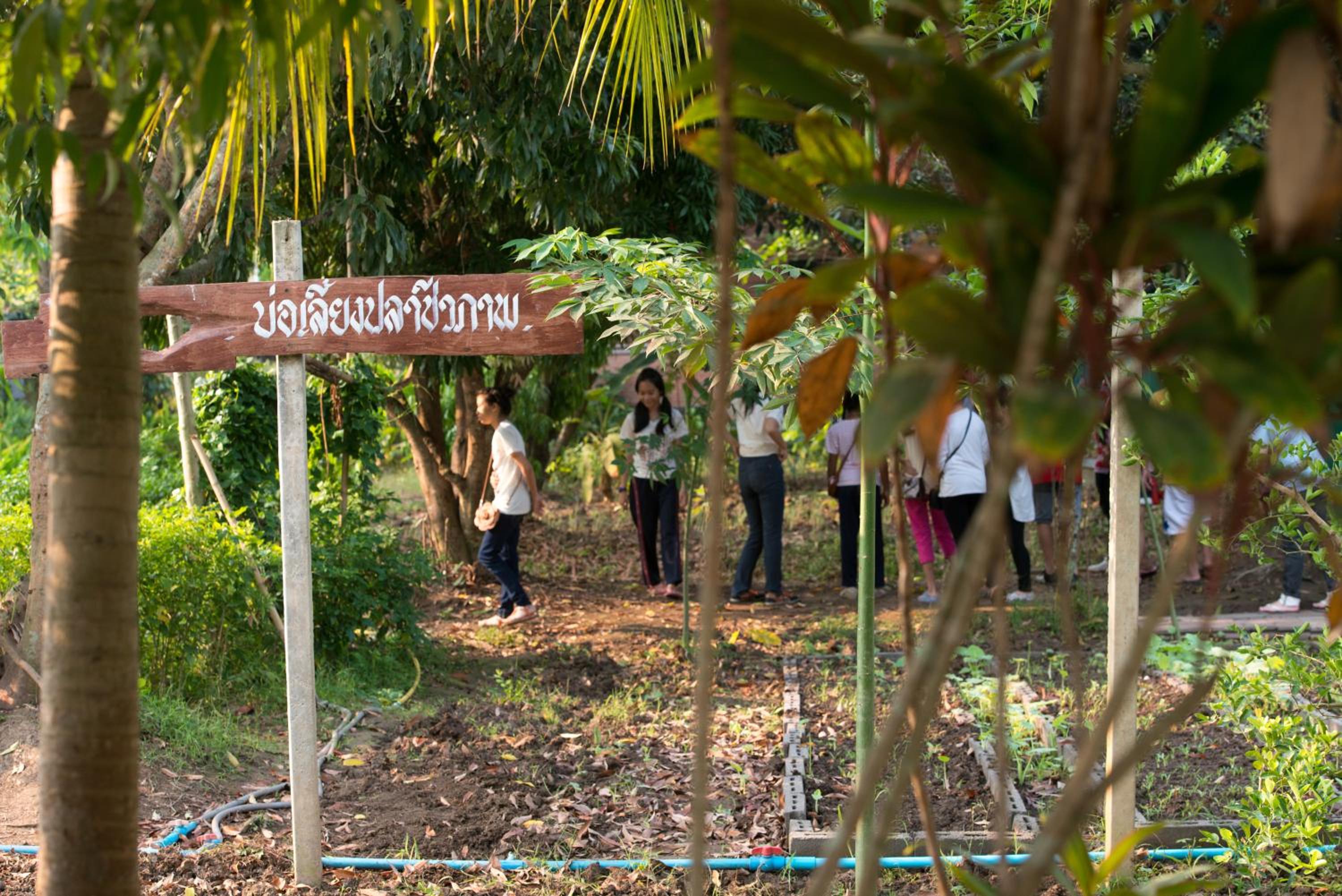 Baantip Suantong