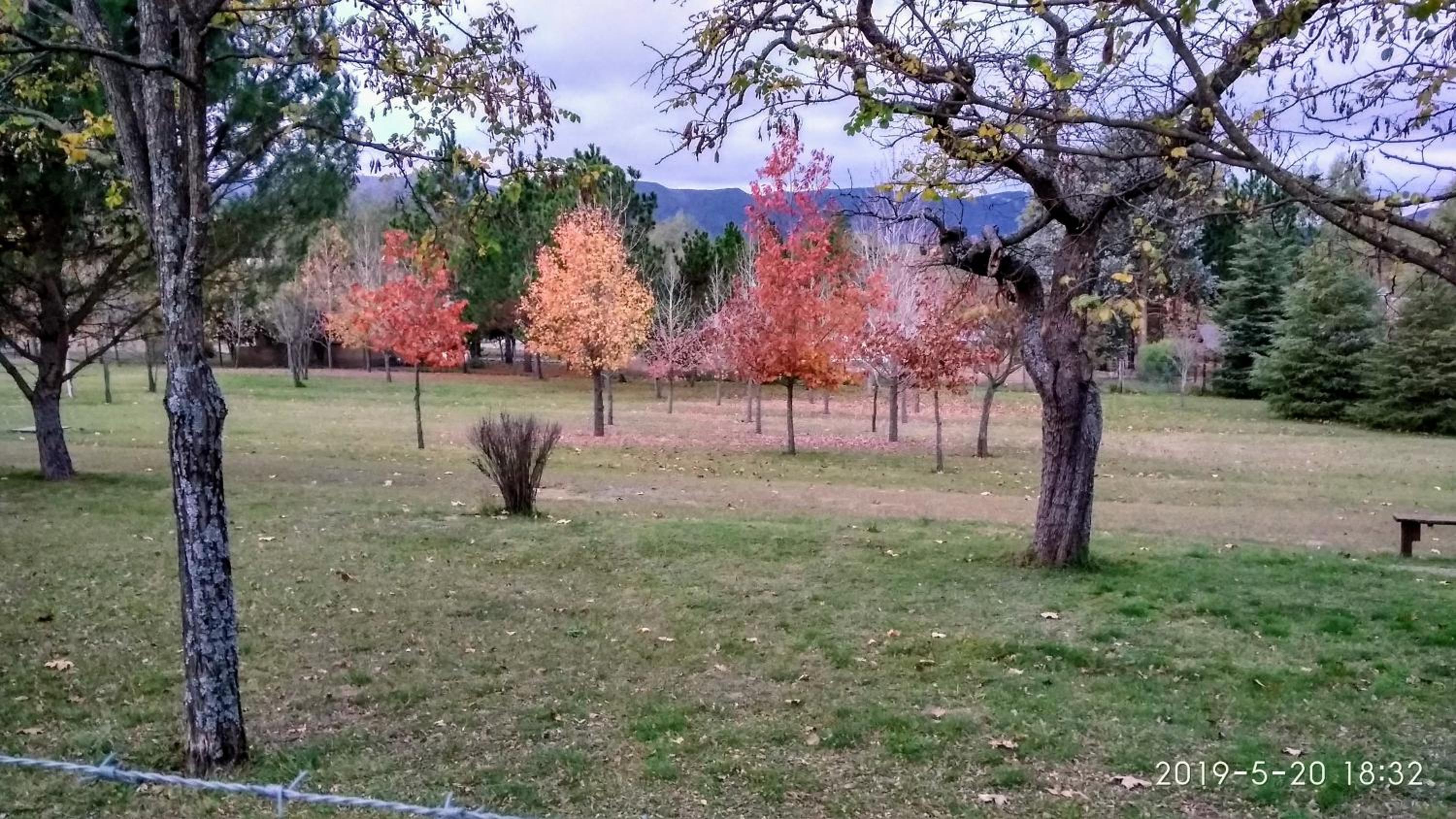 Terrazas de Nahuascat