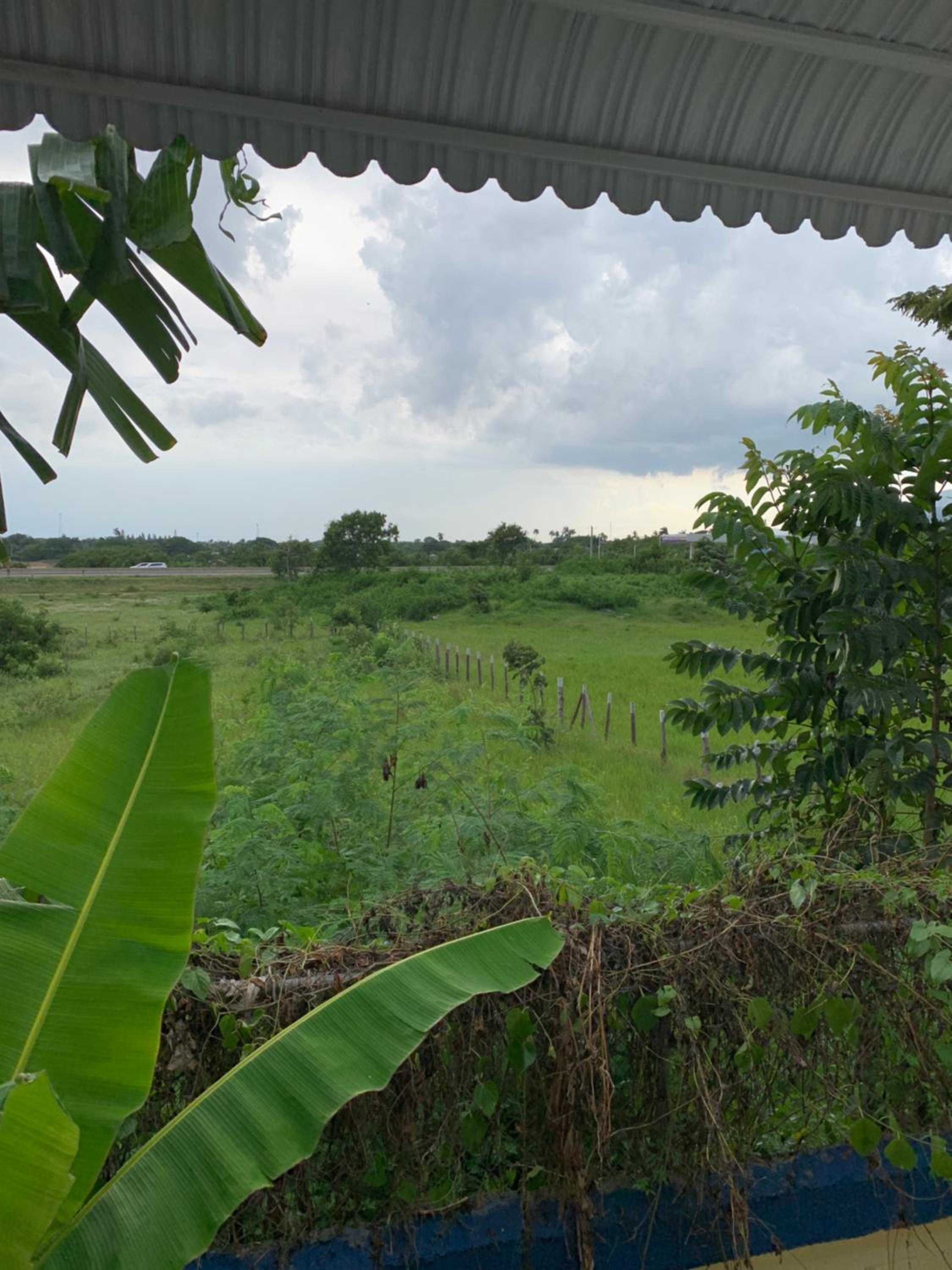 Sana El Jardin Secreto