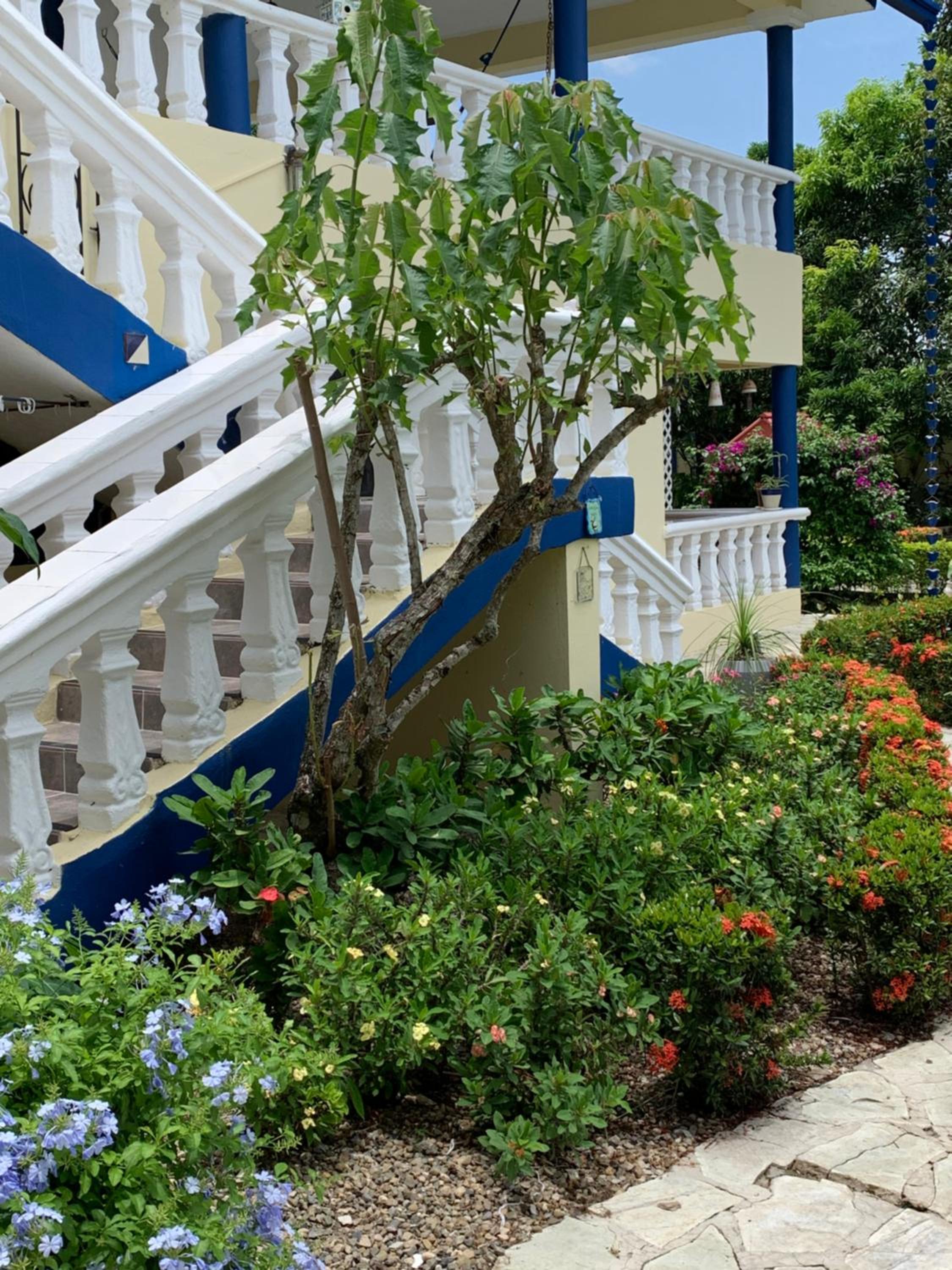 Sana El Jardin Secreto