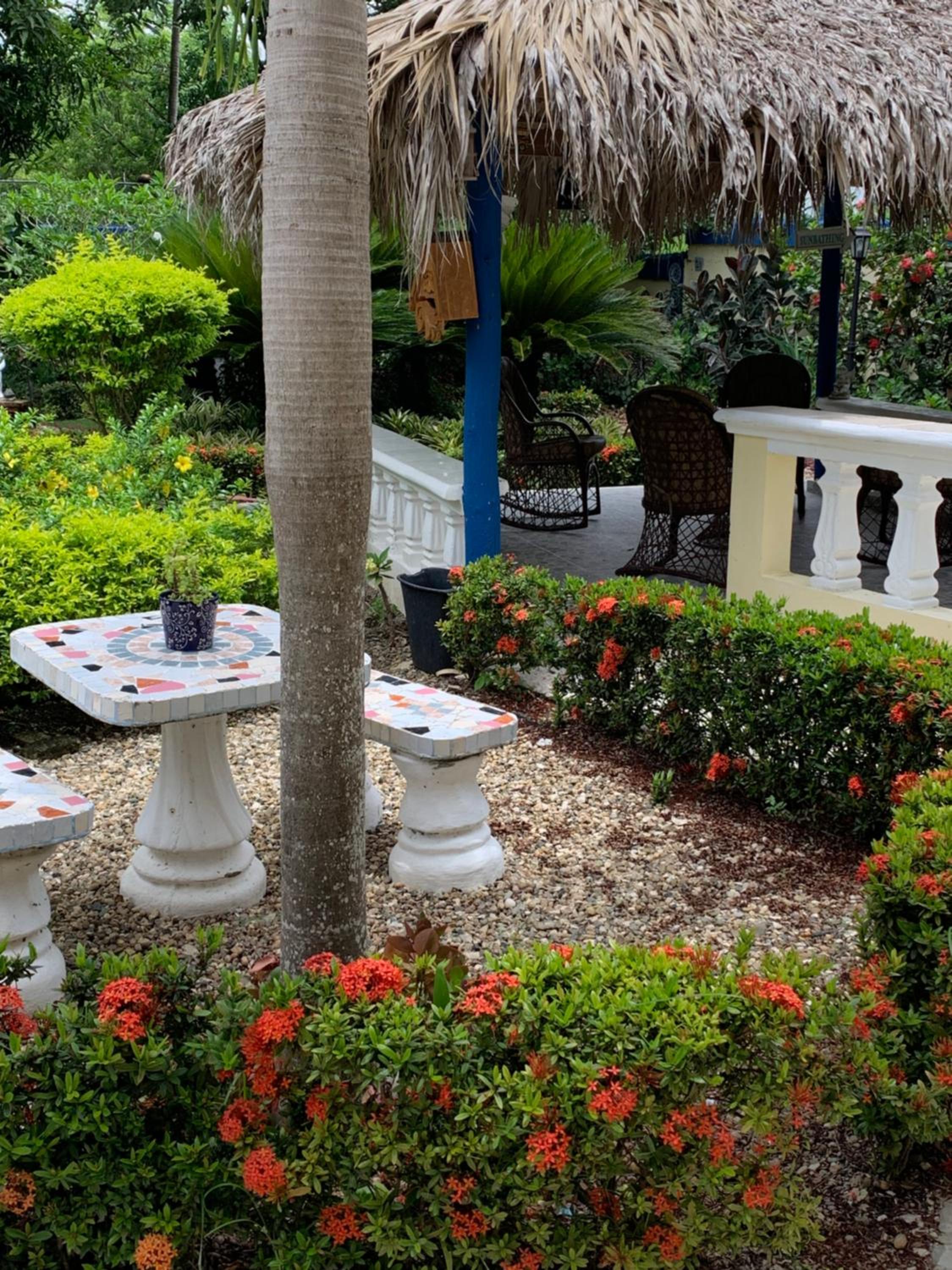 Sana El Jardin Secreto