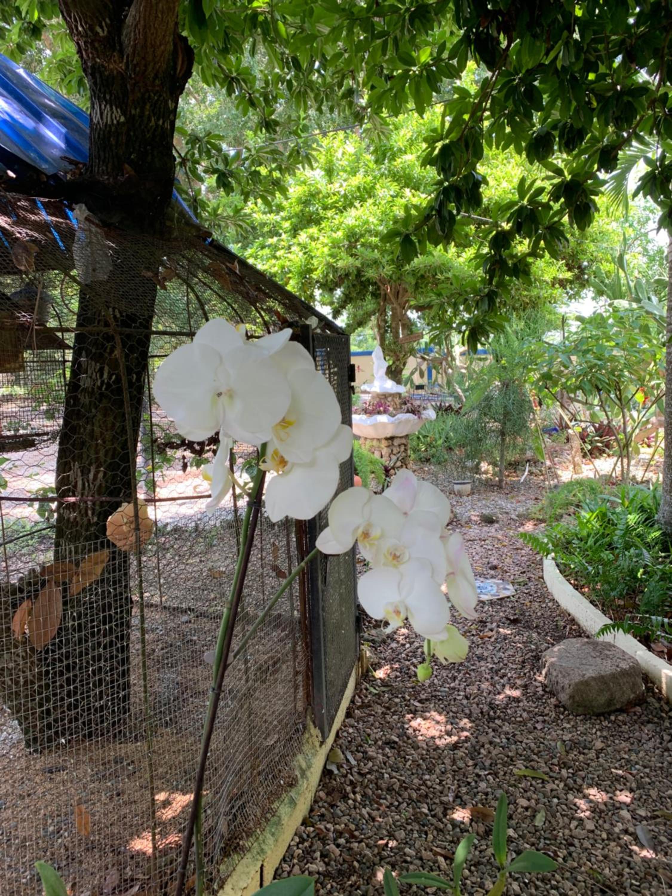 Sana El Jardin Secreto