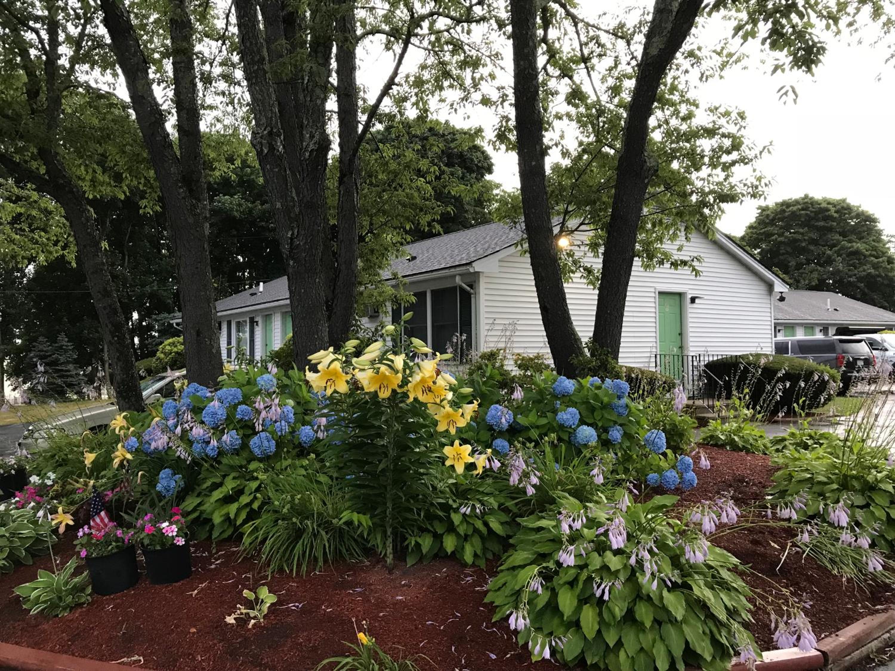 Photo 33