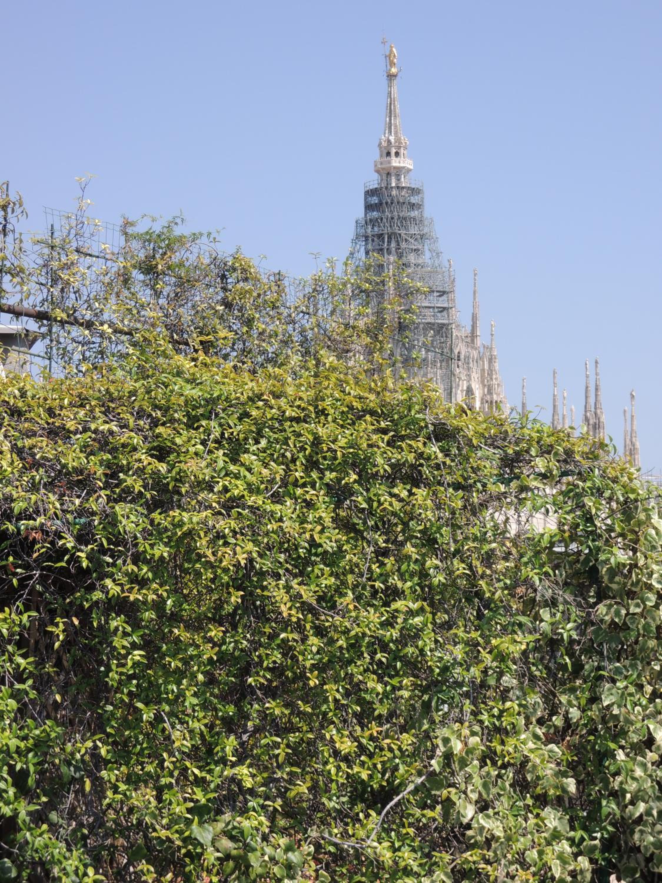 Suite Milano Duomo