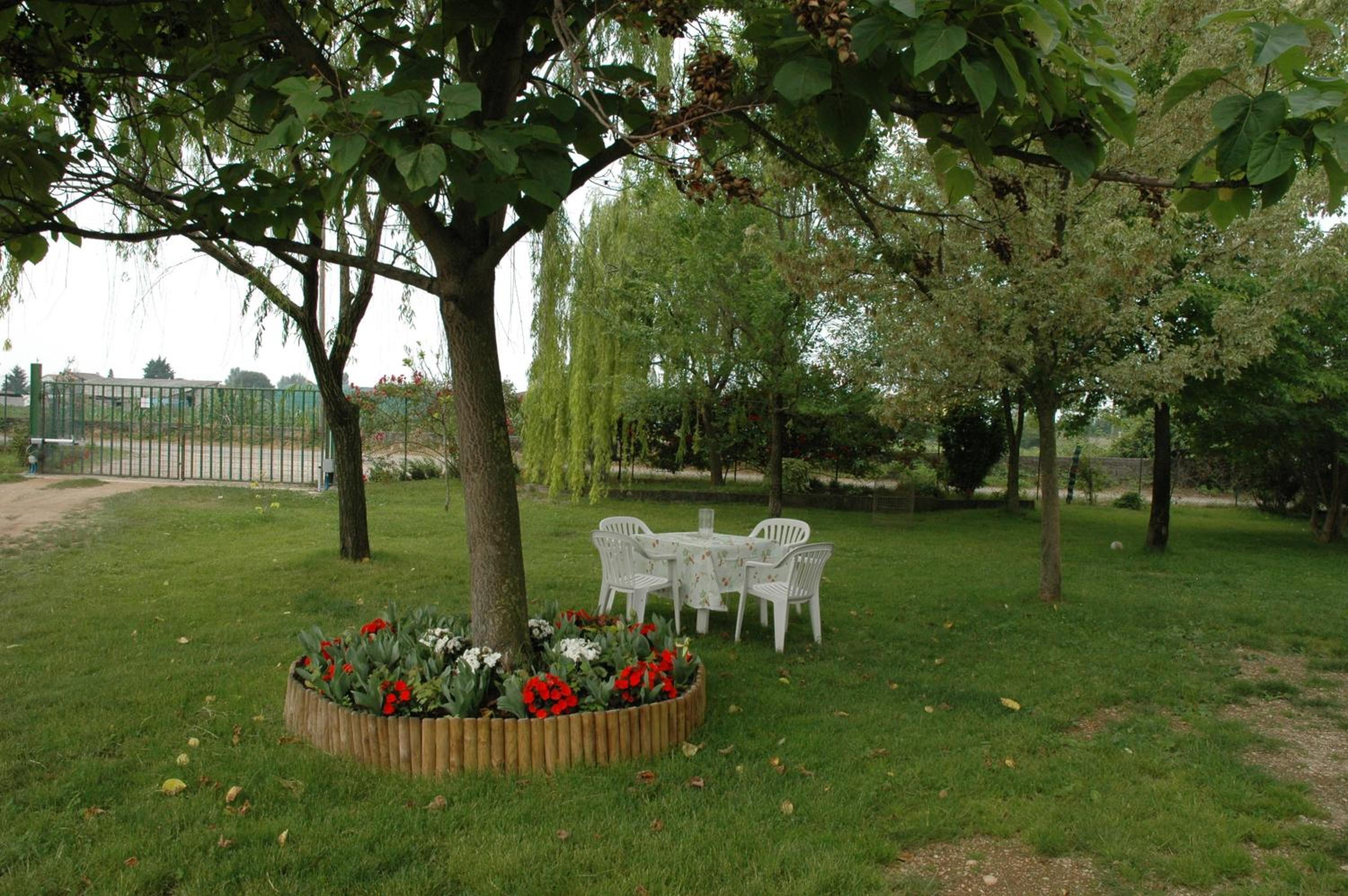 Rose Rosse, photo 11