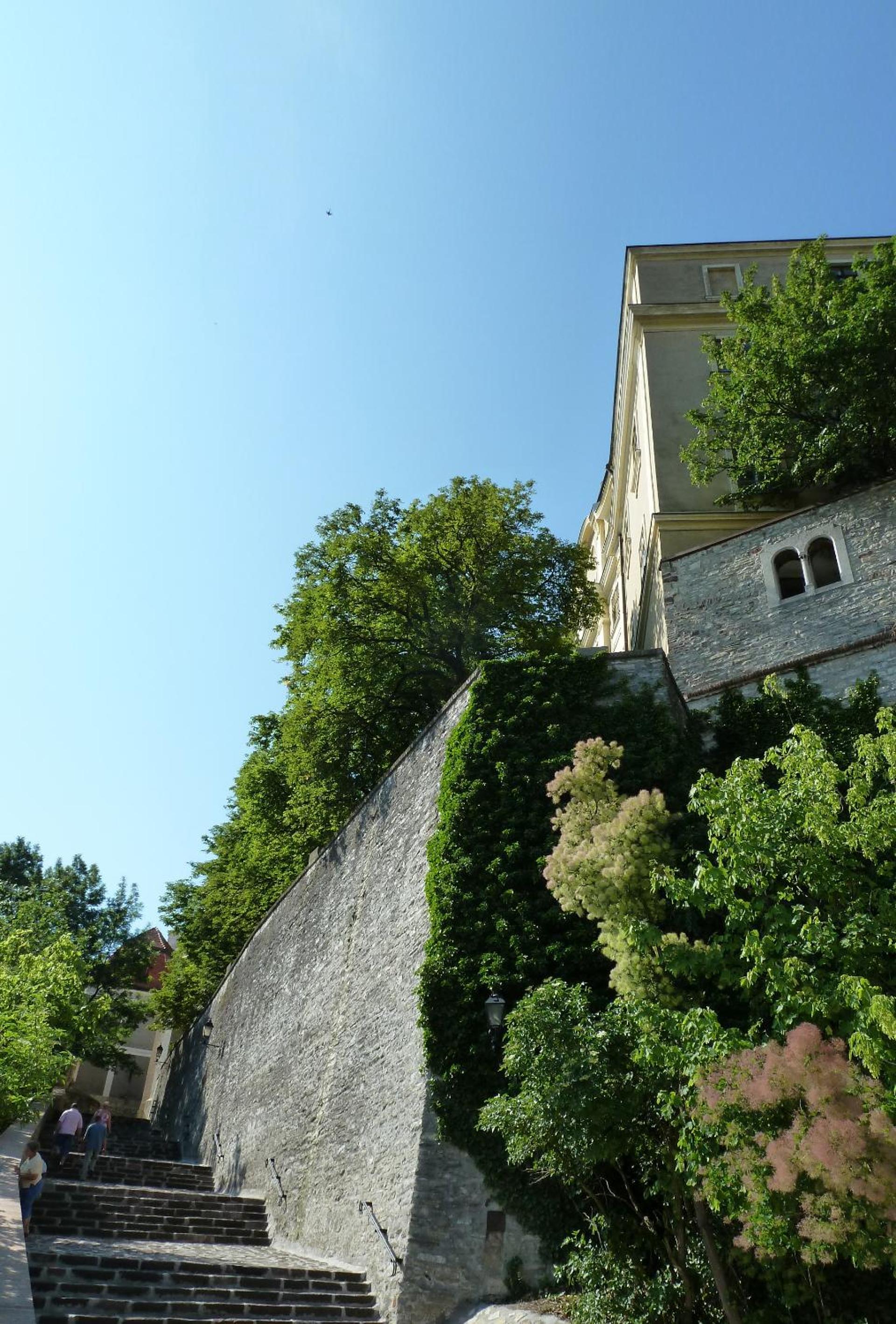 Central Apartment