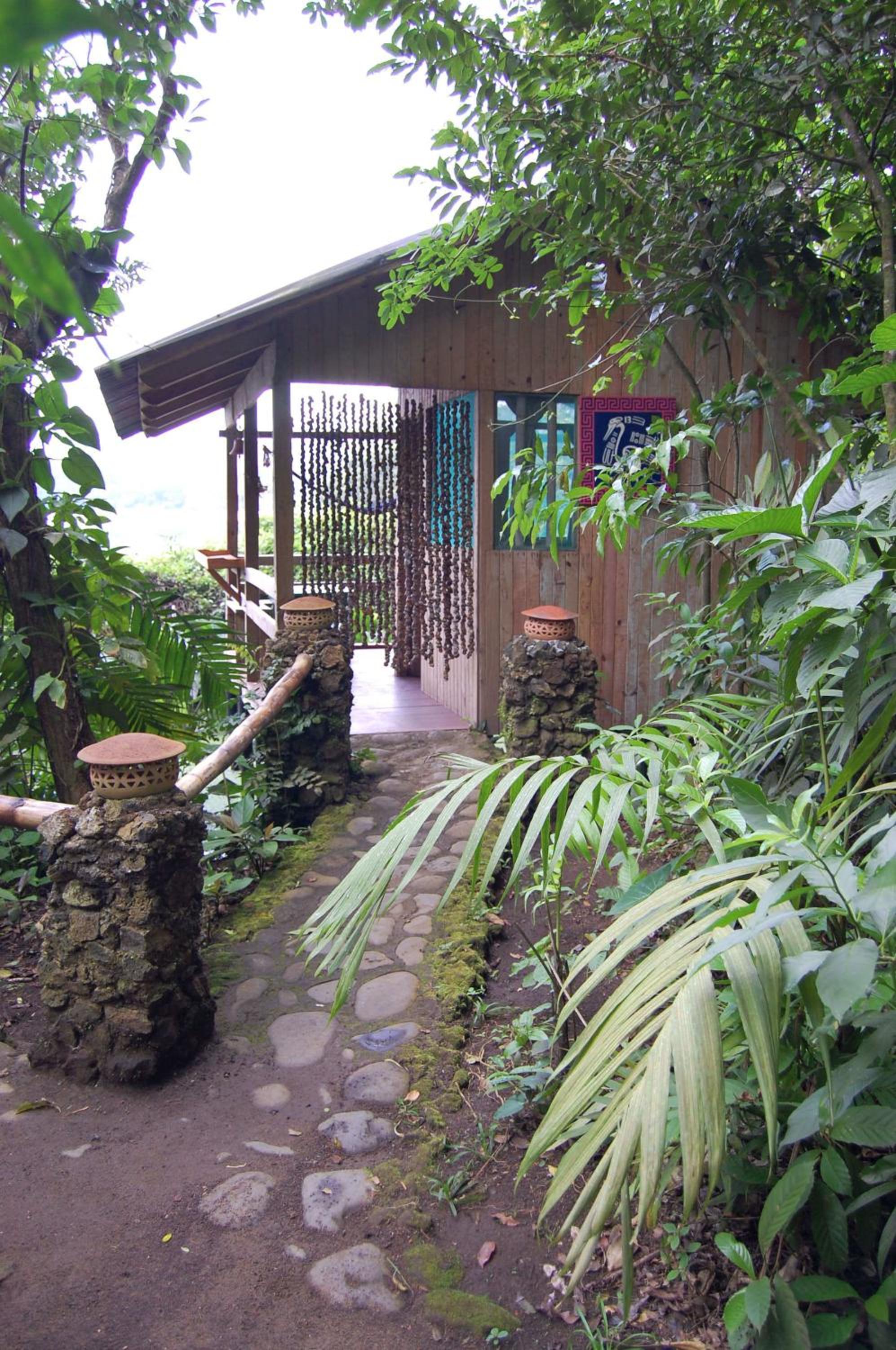 Photo 6