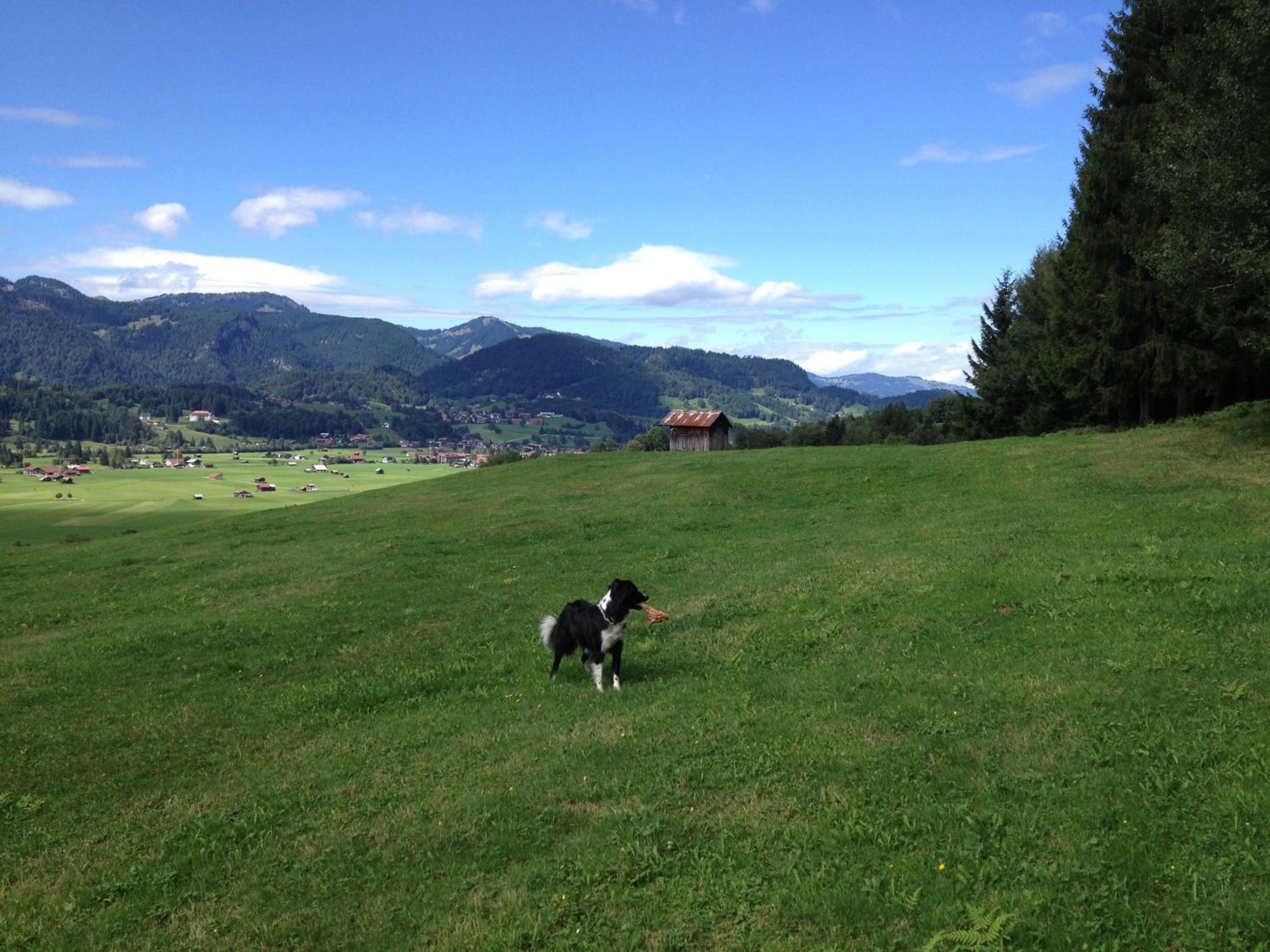 Photo 25