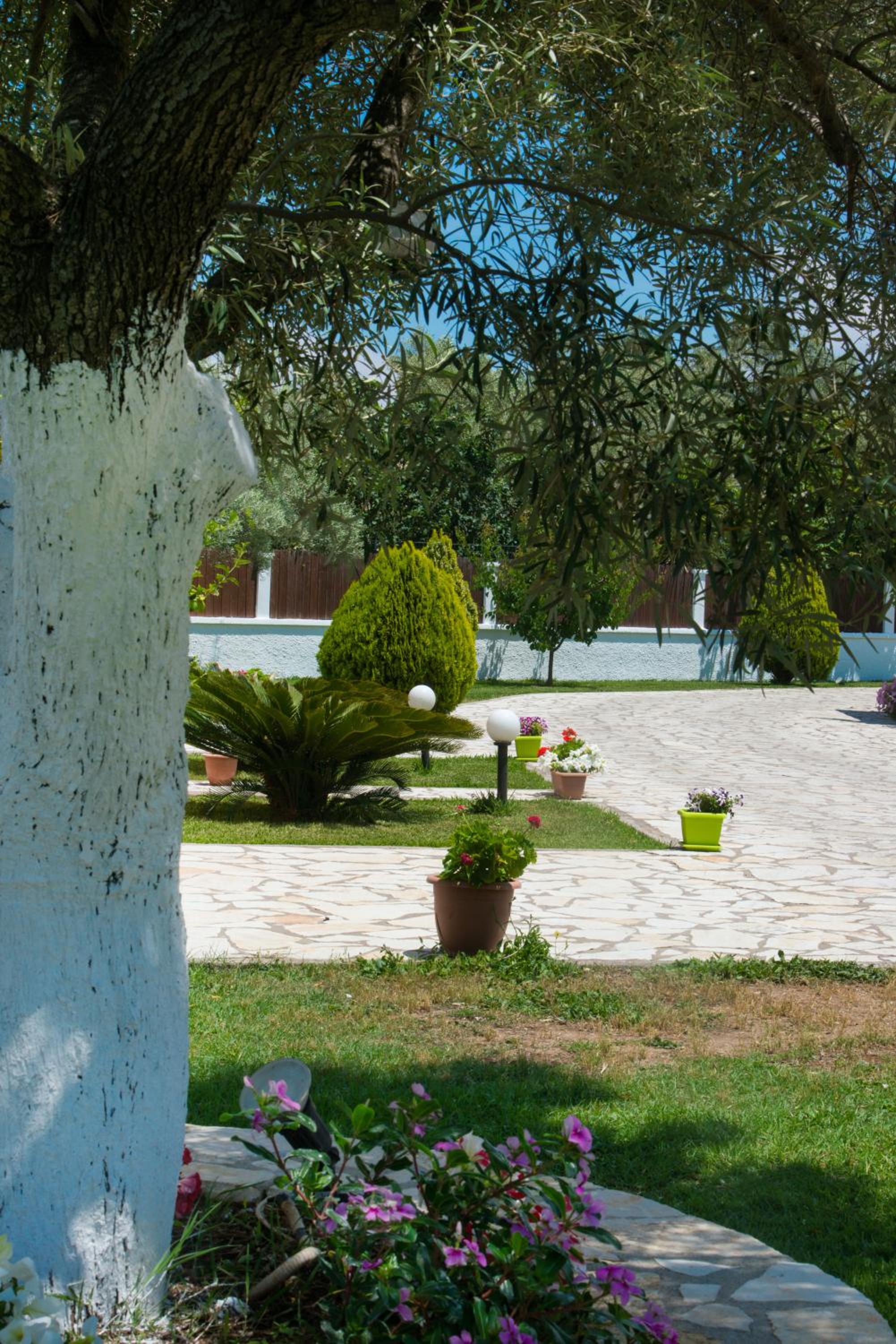 Eleana Studios view 5