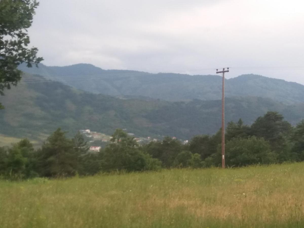 Panorama Kakopleyri Kalabakas