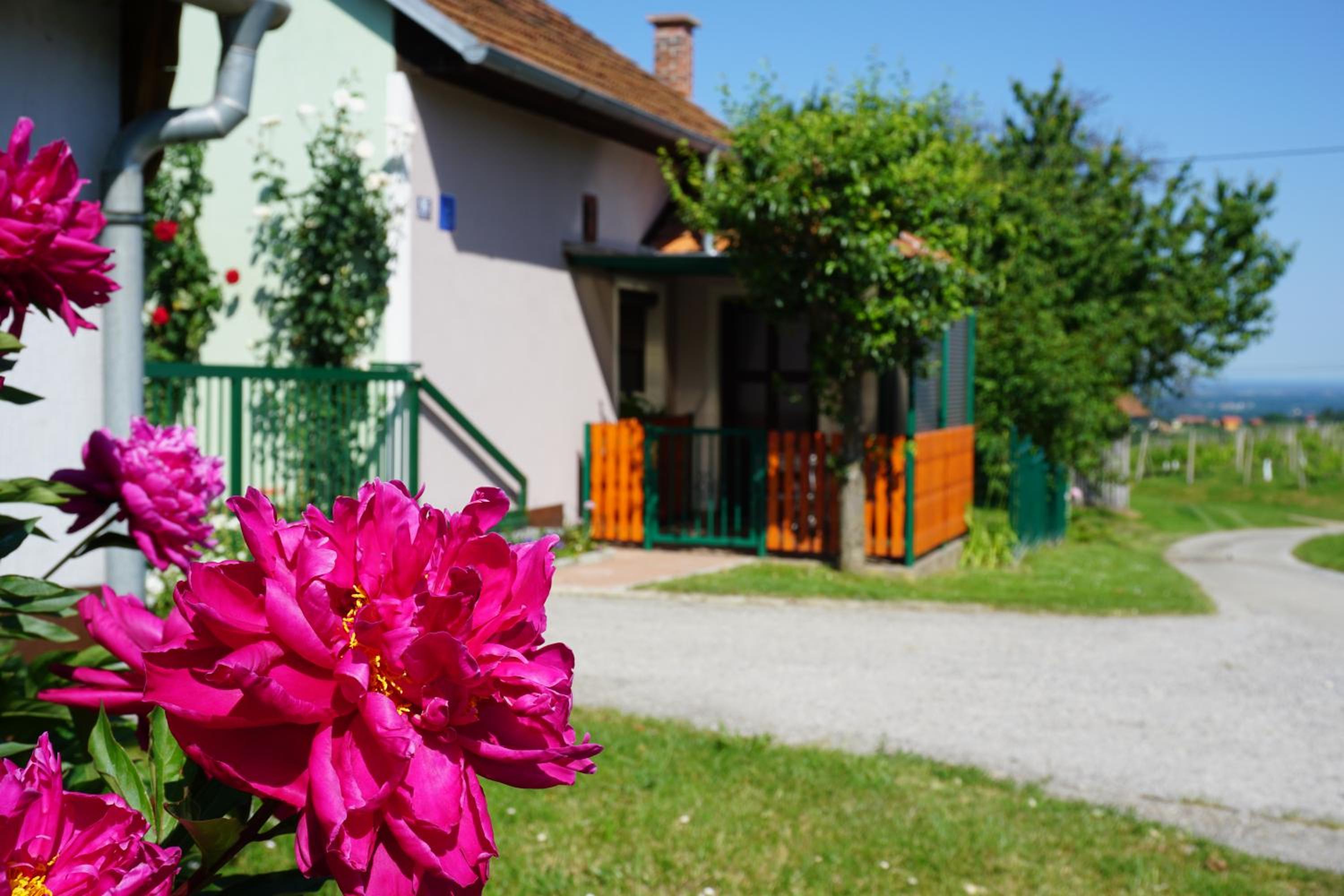 Holiday Home Mađerka view 4