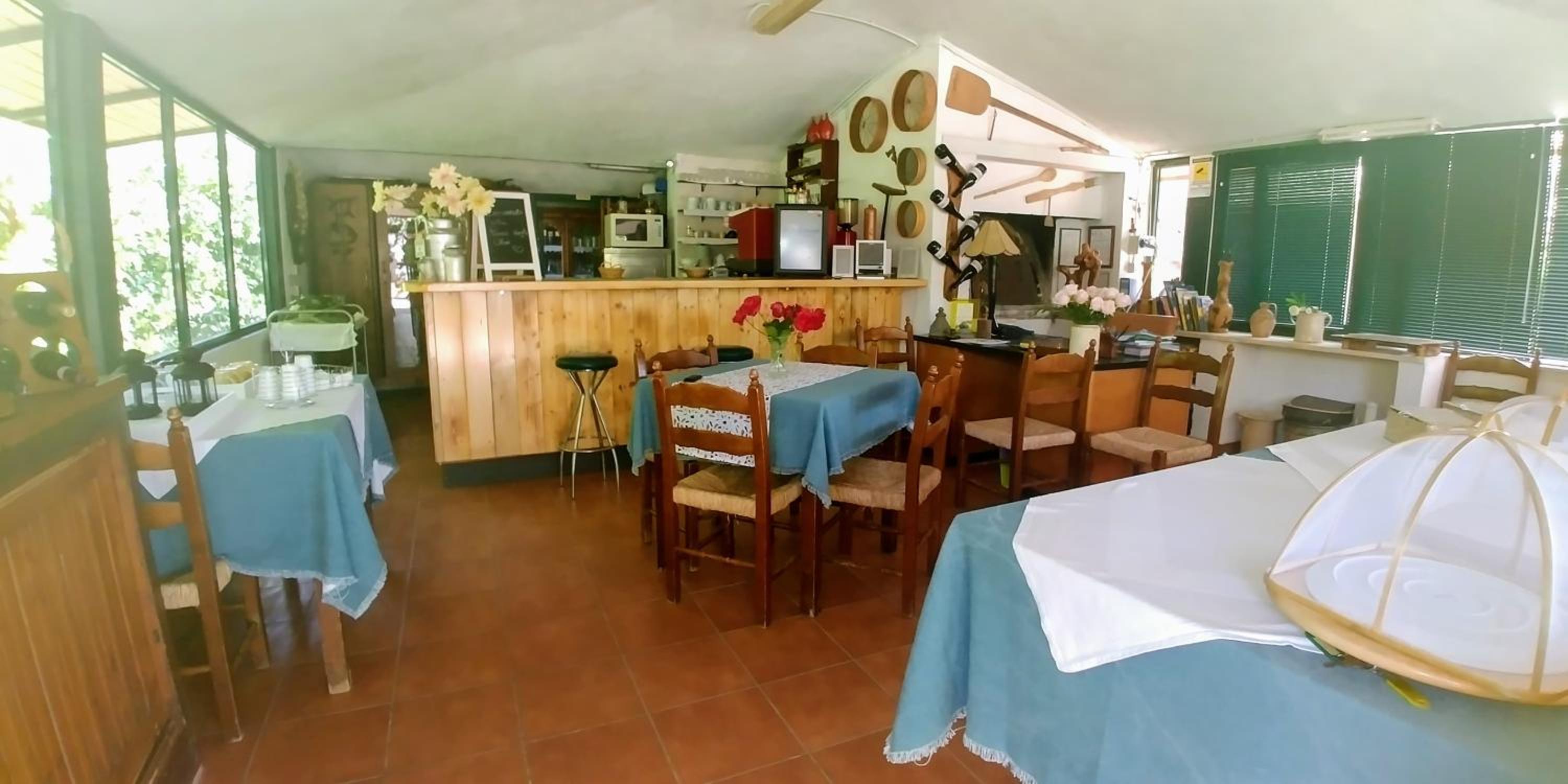 La Piana degli Ulivi