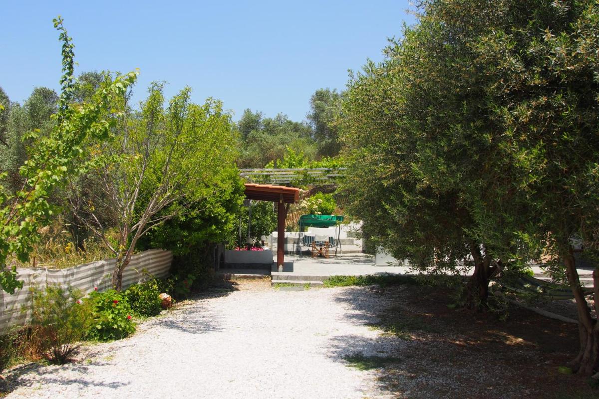 Photo 6