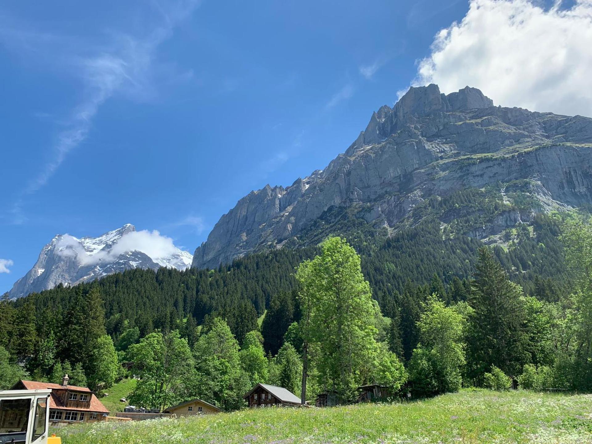 Fluehblüemli