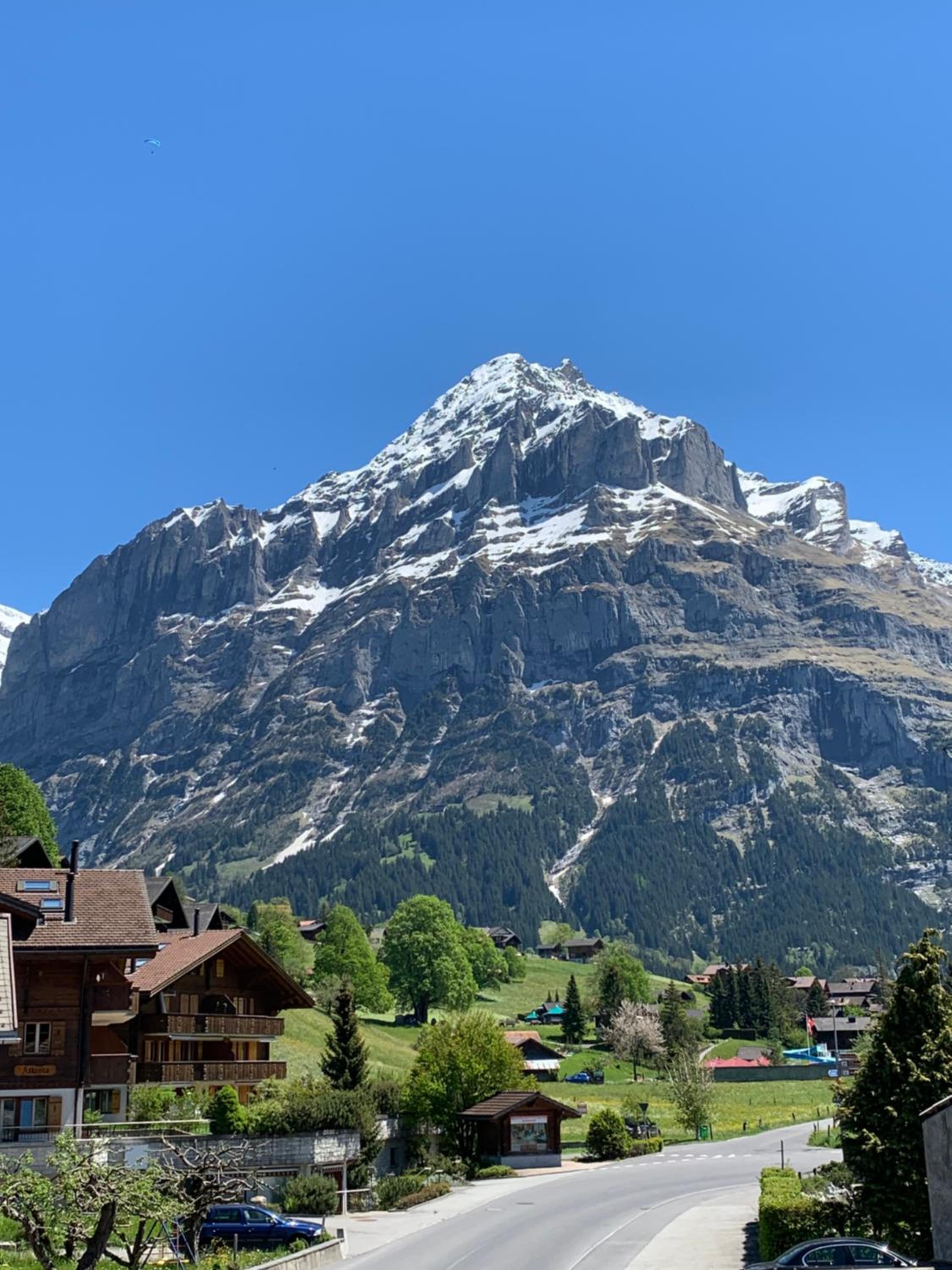 Fluehblüemli