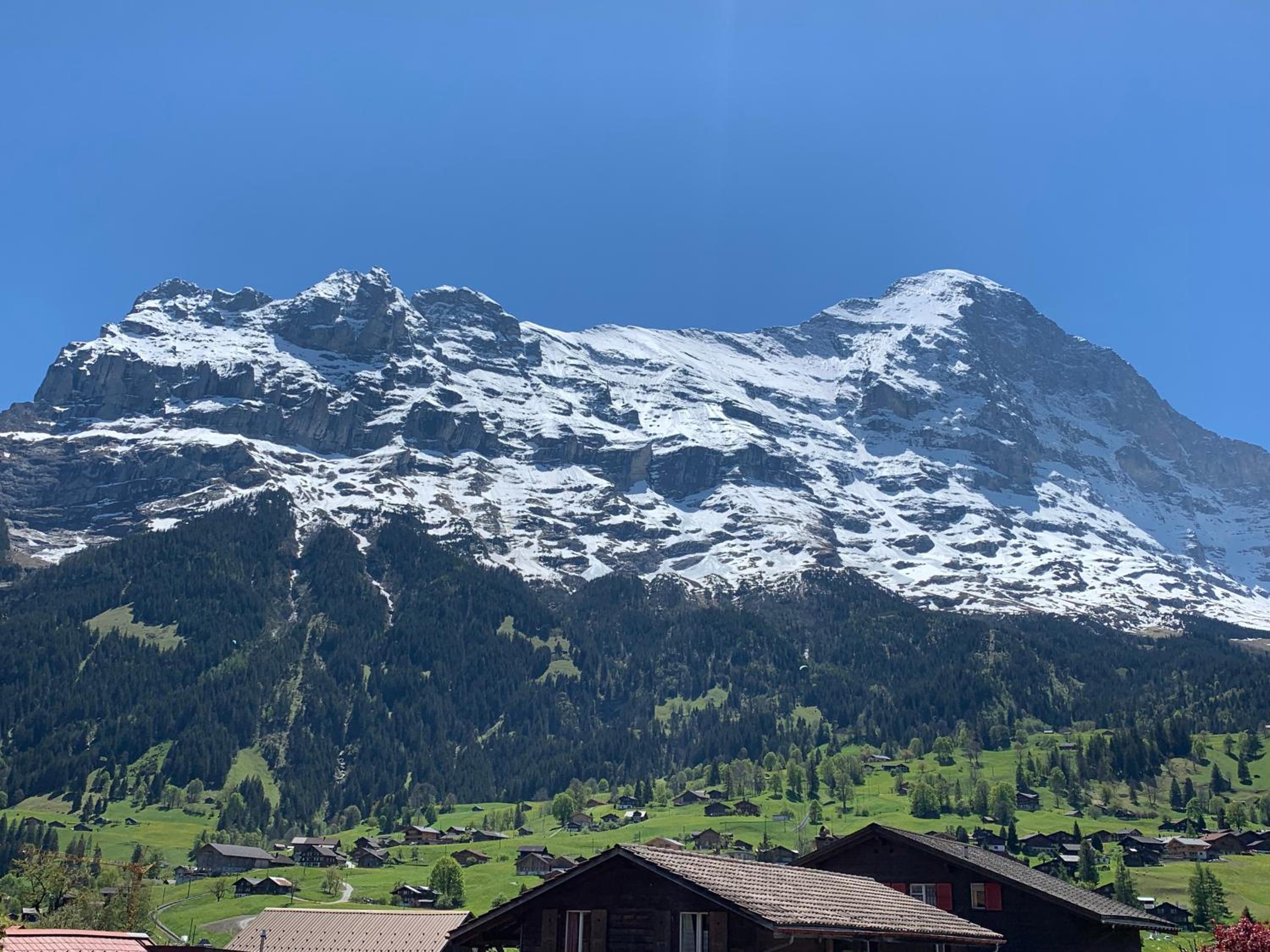 Fluehblüemli