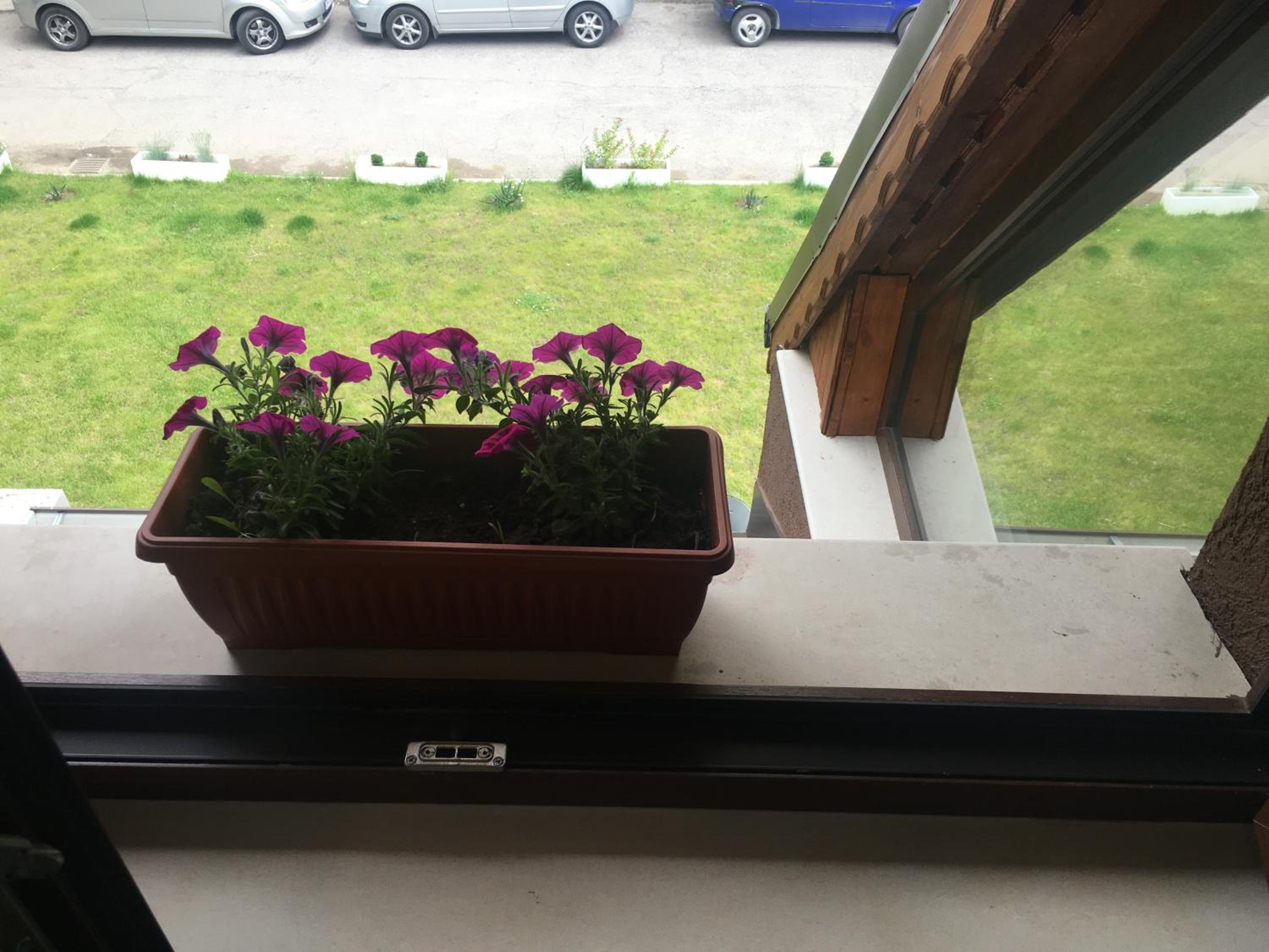 Sofia Family House - Free Parking
