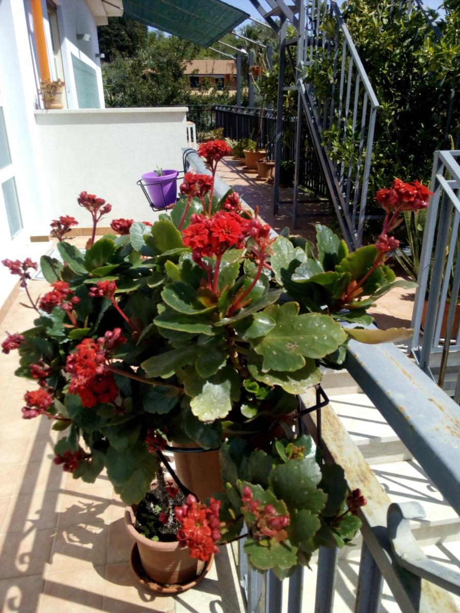 Photo 38