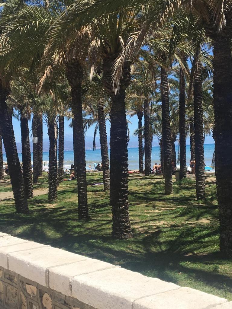 Charming sea view apartment nearby everything