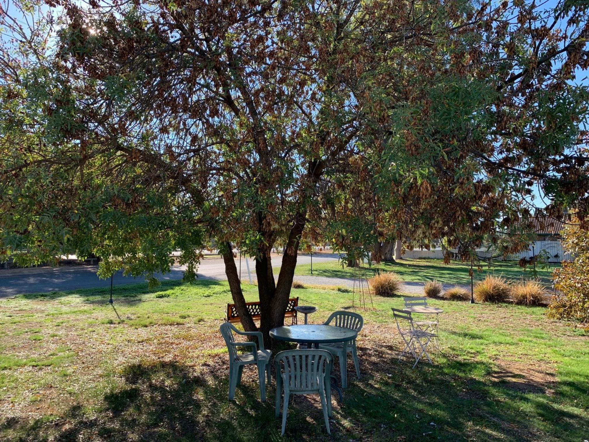Gazebo Motor Inn - Strathmerton