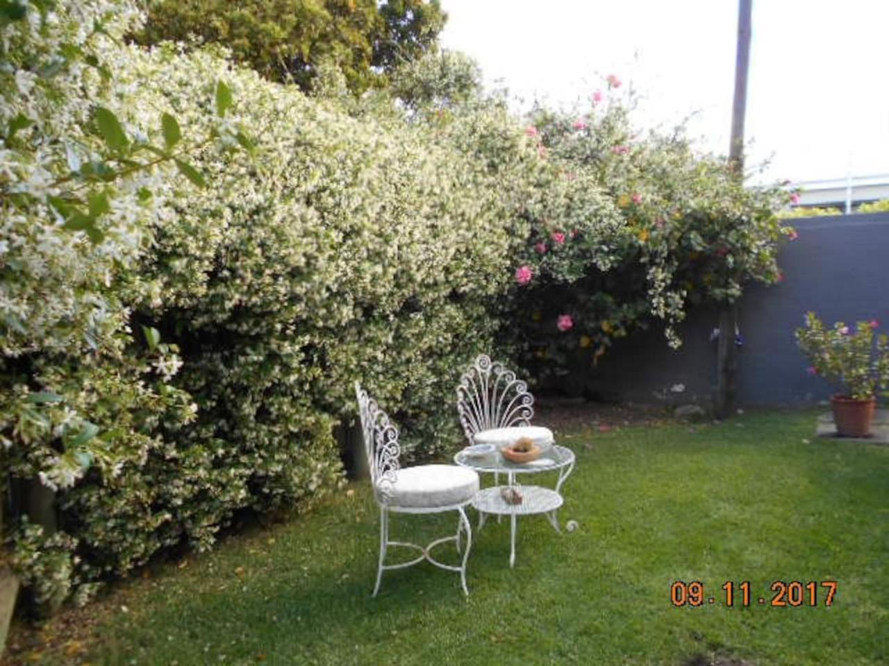 Photo 50