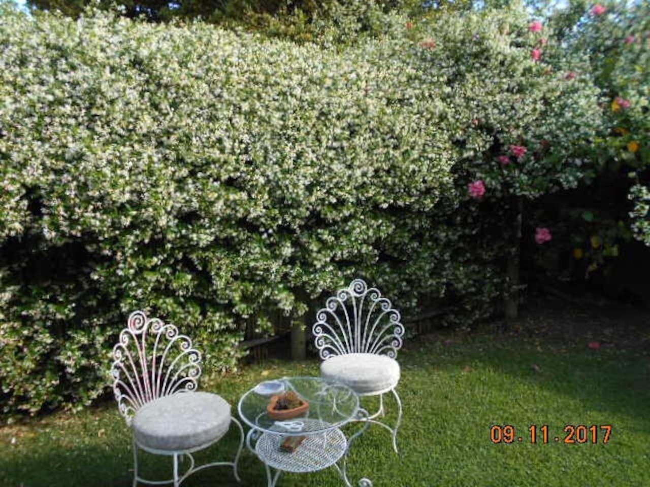 Photo 66