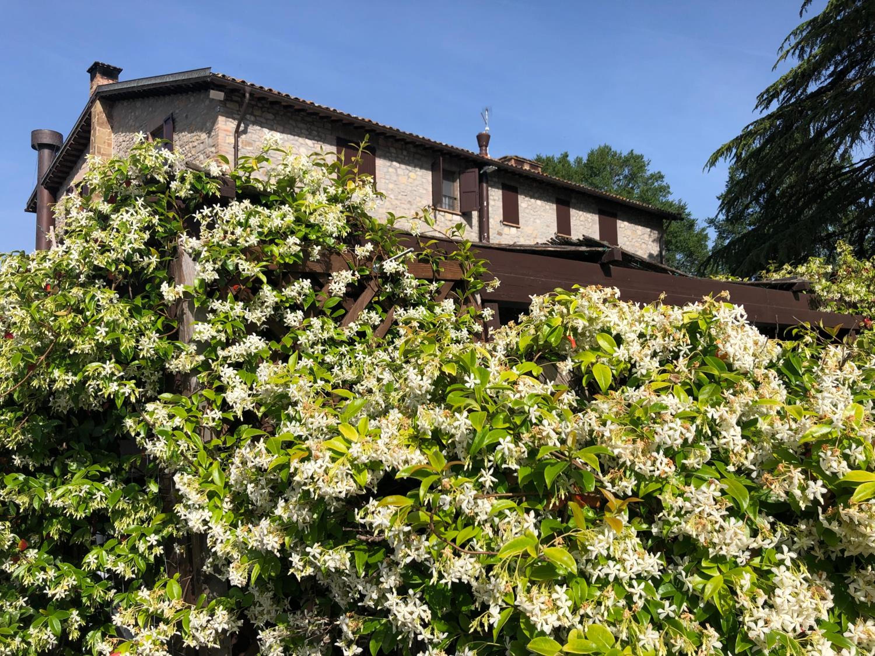 Agriturismo Beata Vanna