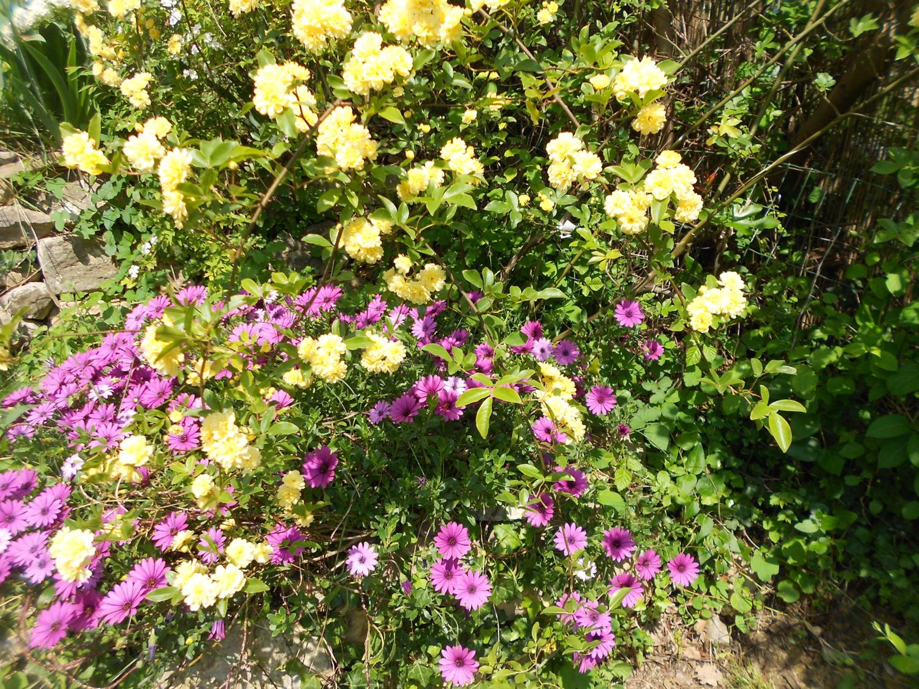 Photo 34