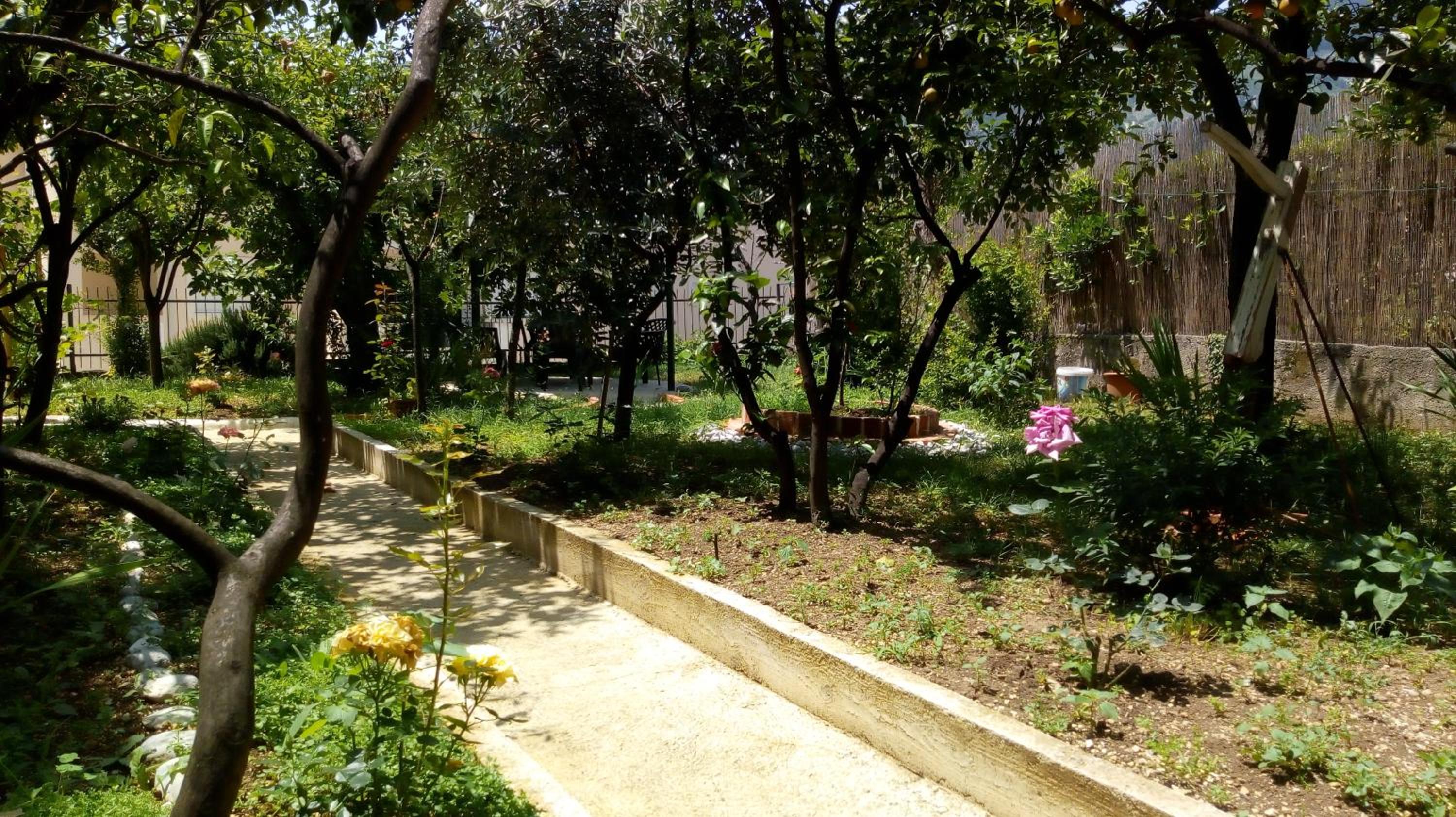 Photo 15