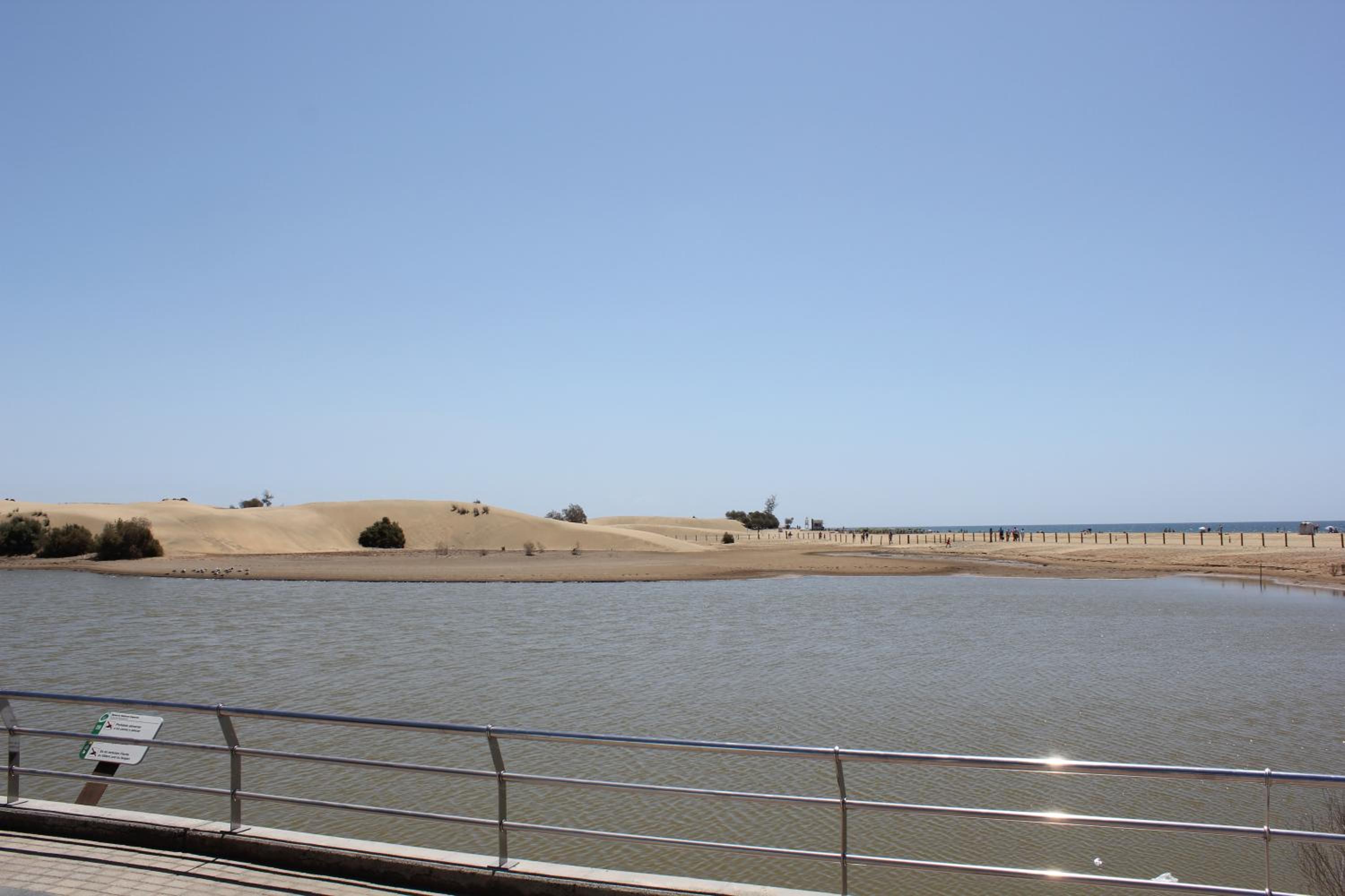 Oasis Playa Maspalomas