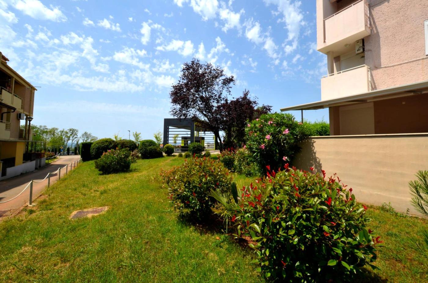 Monium view 3