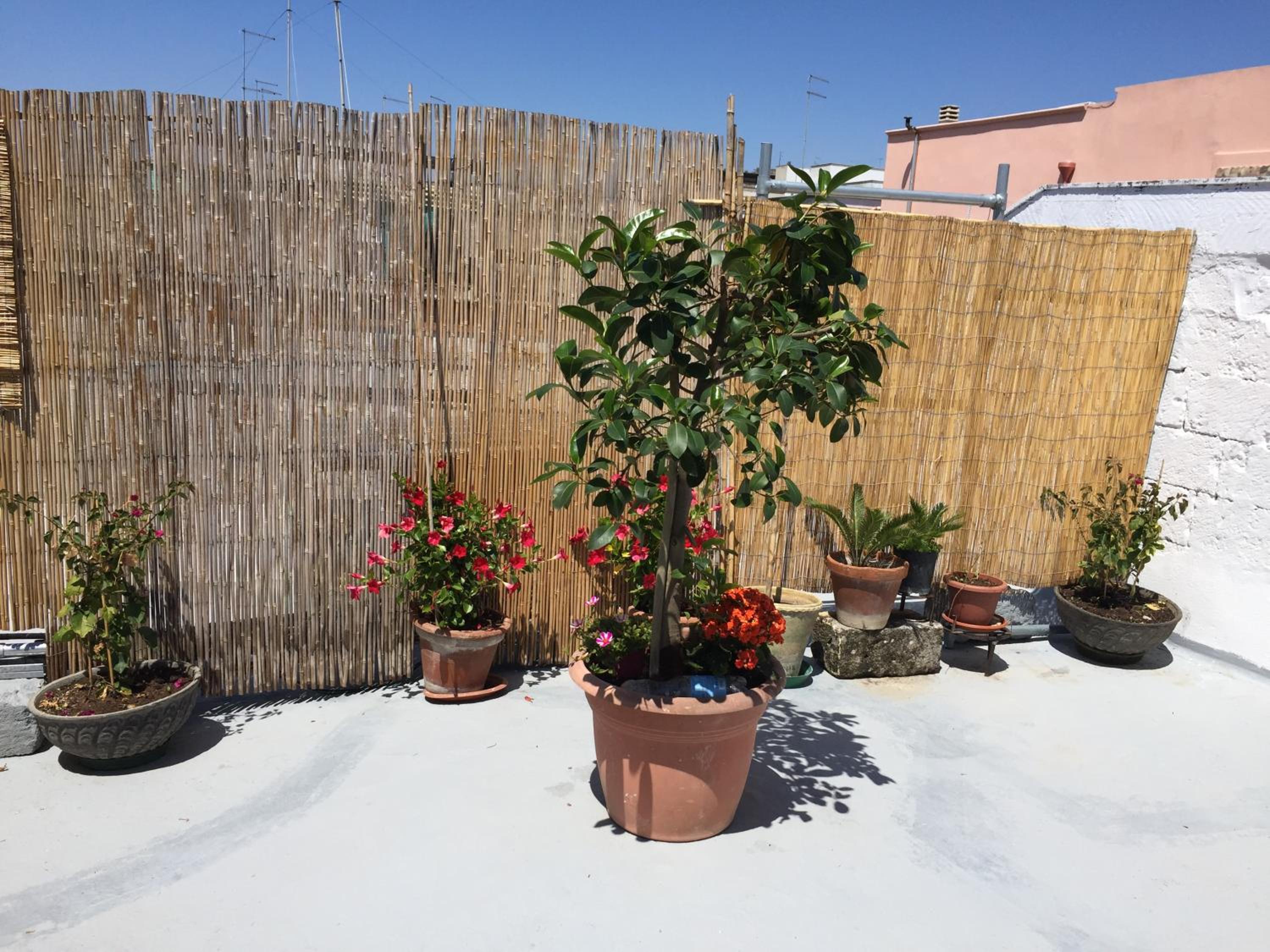 Photo 42