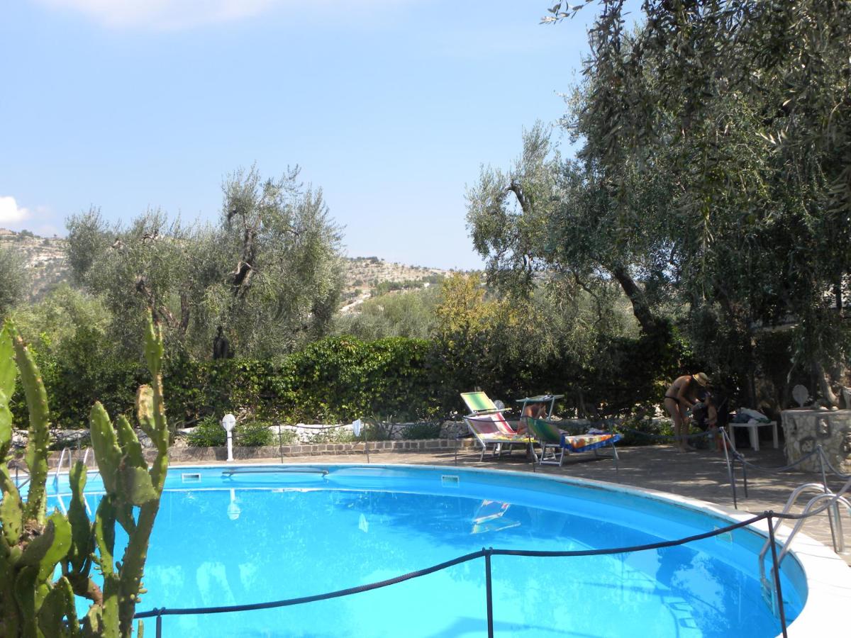 Photo 45