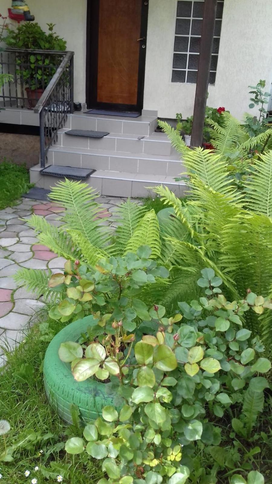Photo 32