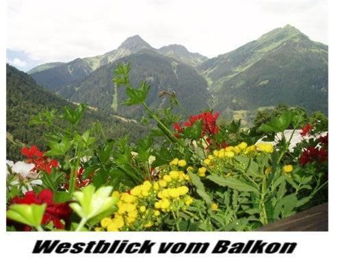 Photo 49