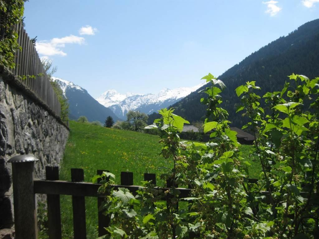 Photo 48