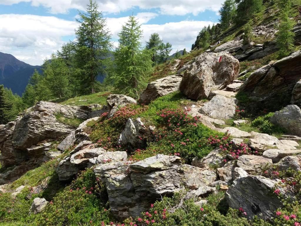 Photo 31