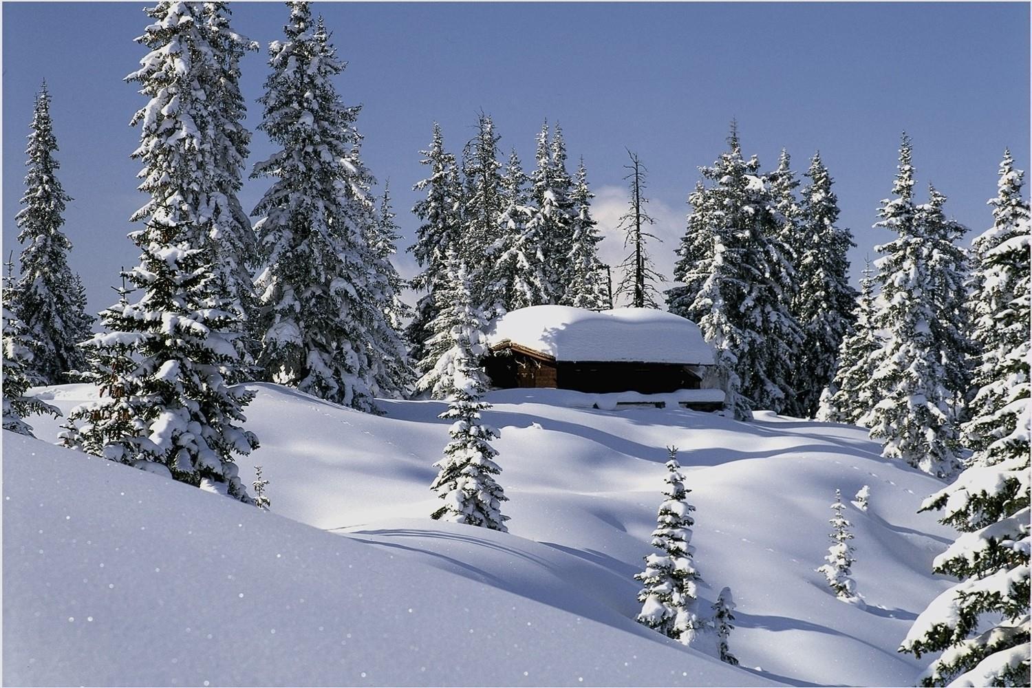 Haus zur Kapelle