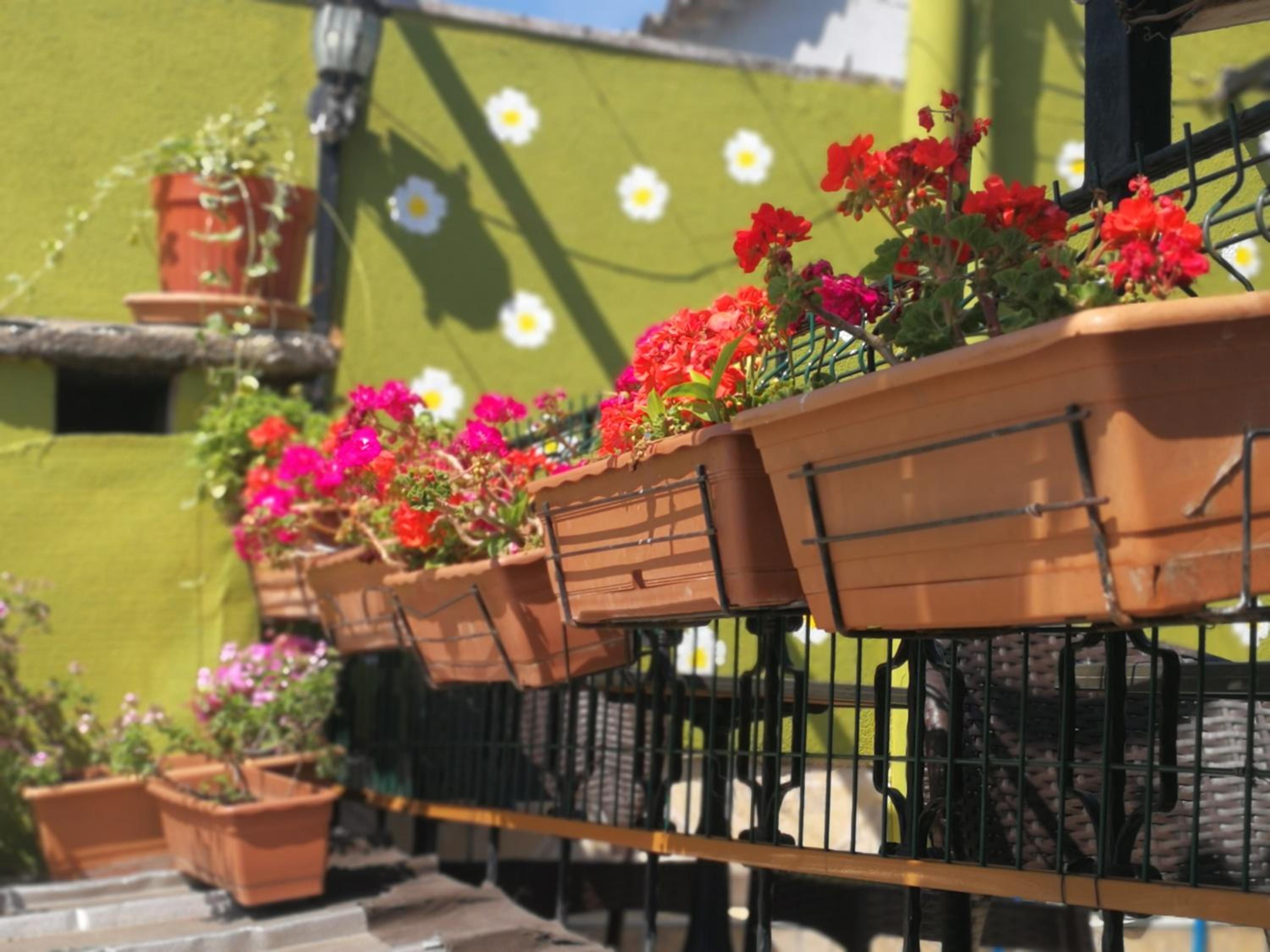 Marmara Guesthouse - Image 152