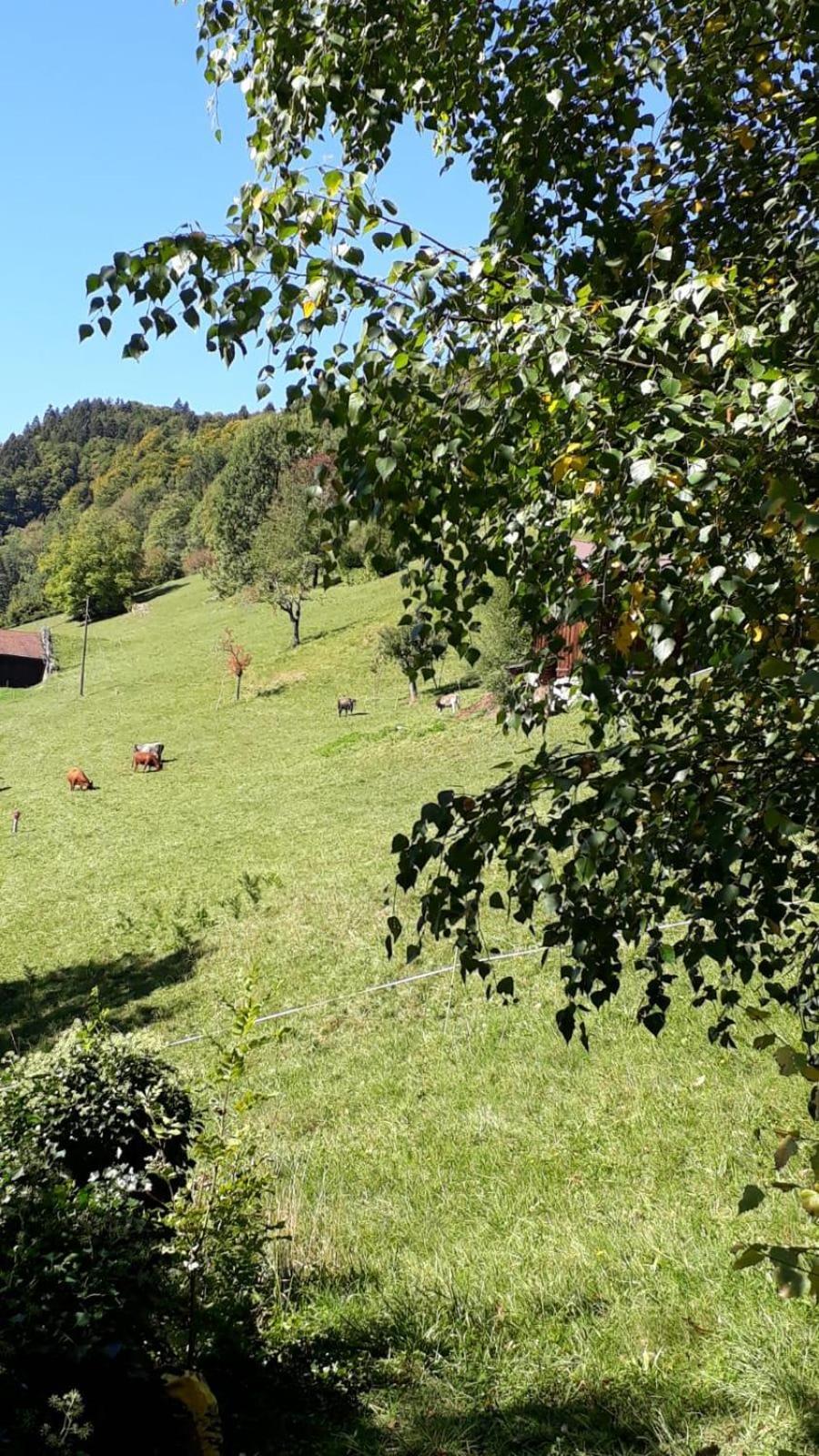Ferienhaus Grappa