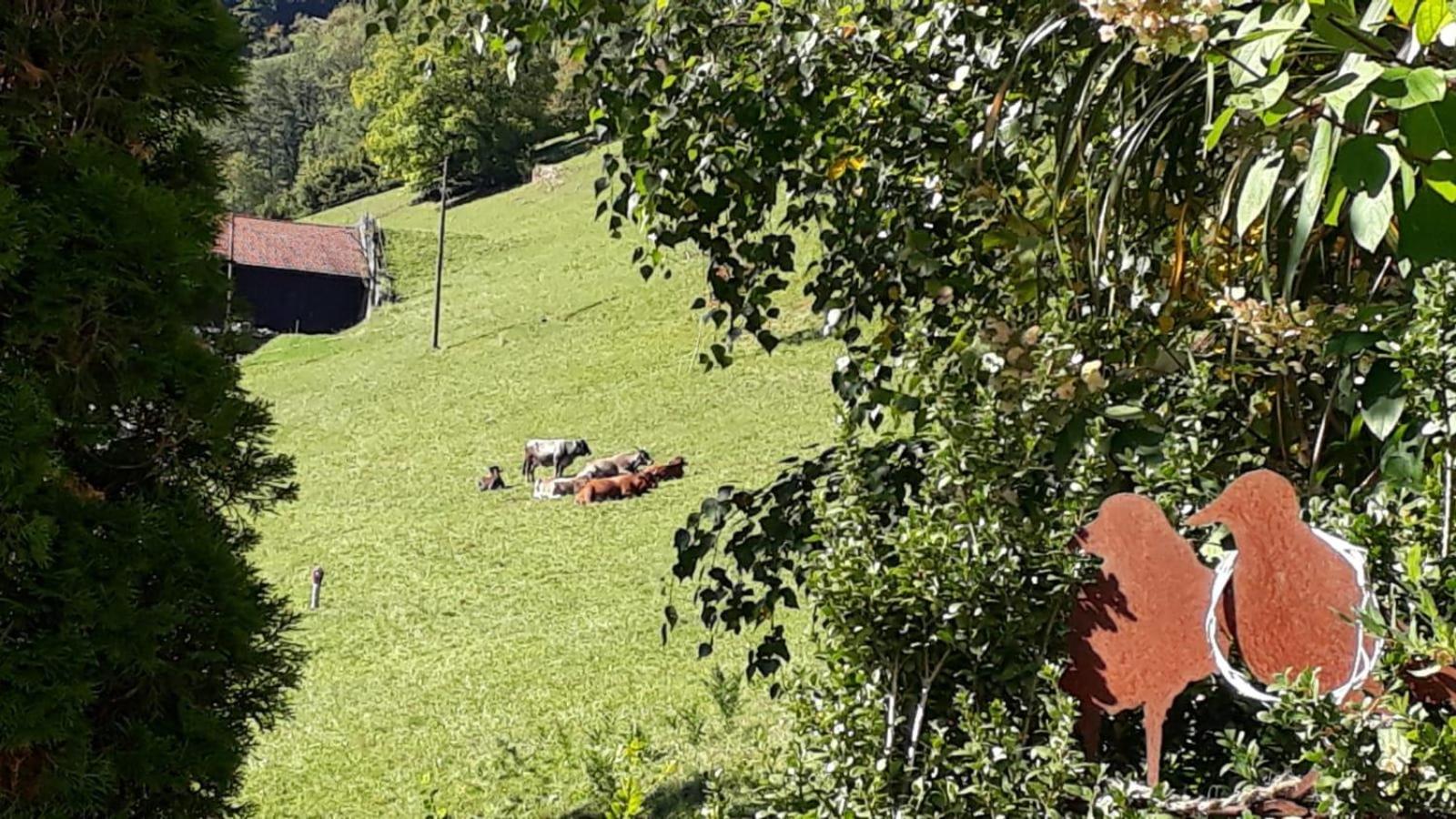 Ferienhaus Grappa
