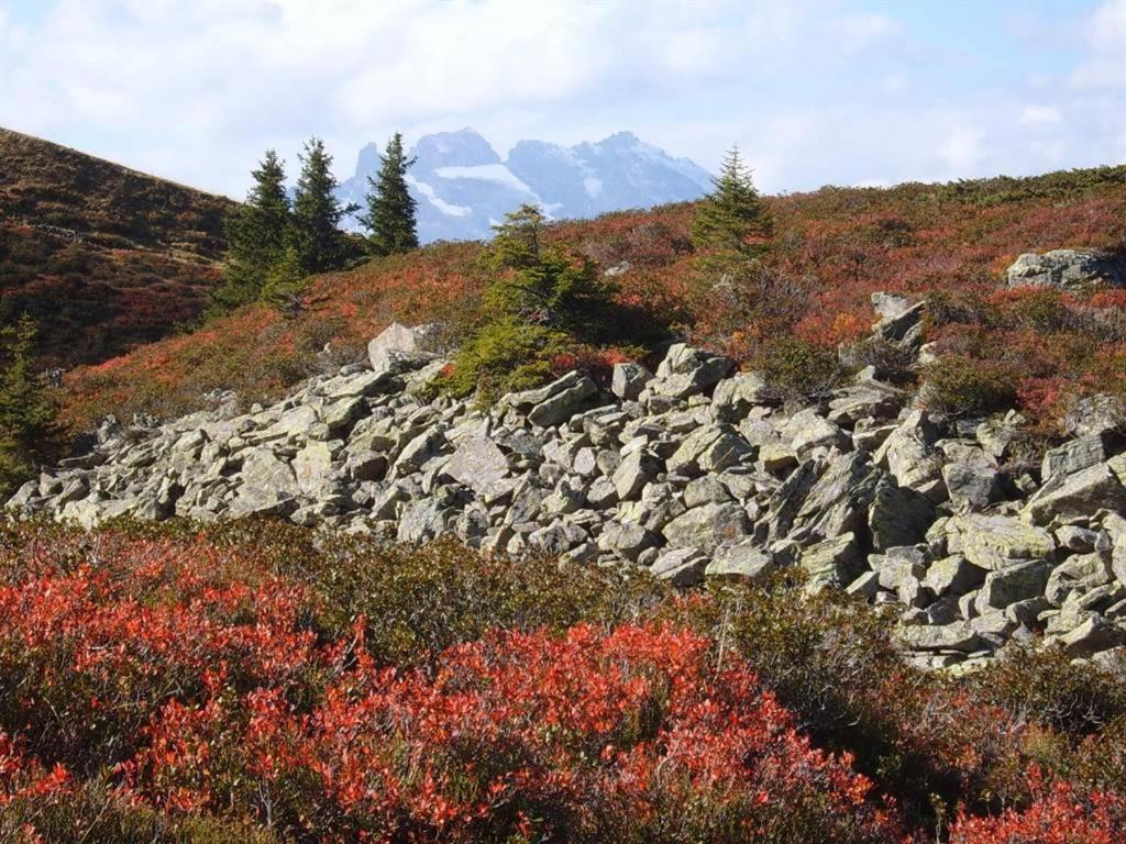 Rudigier Margret und Franz view 5