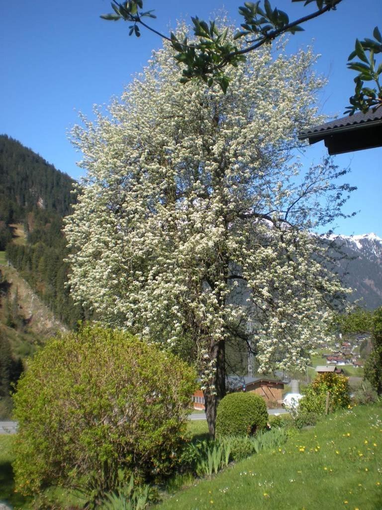 Photo 41