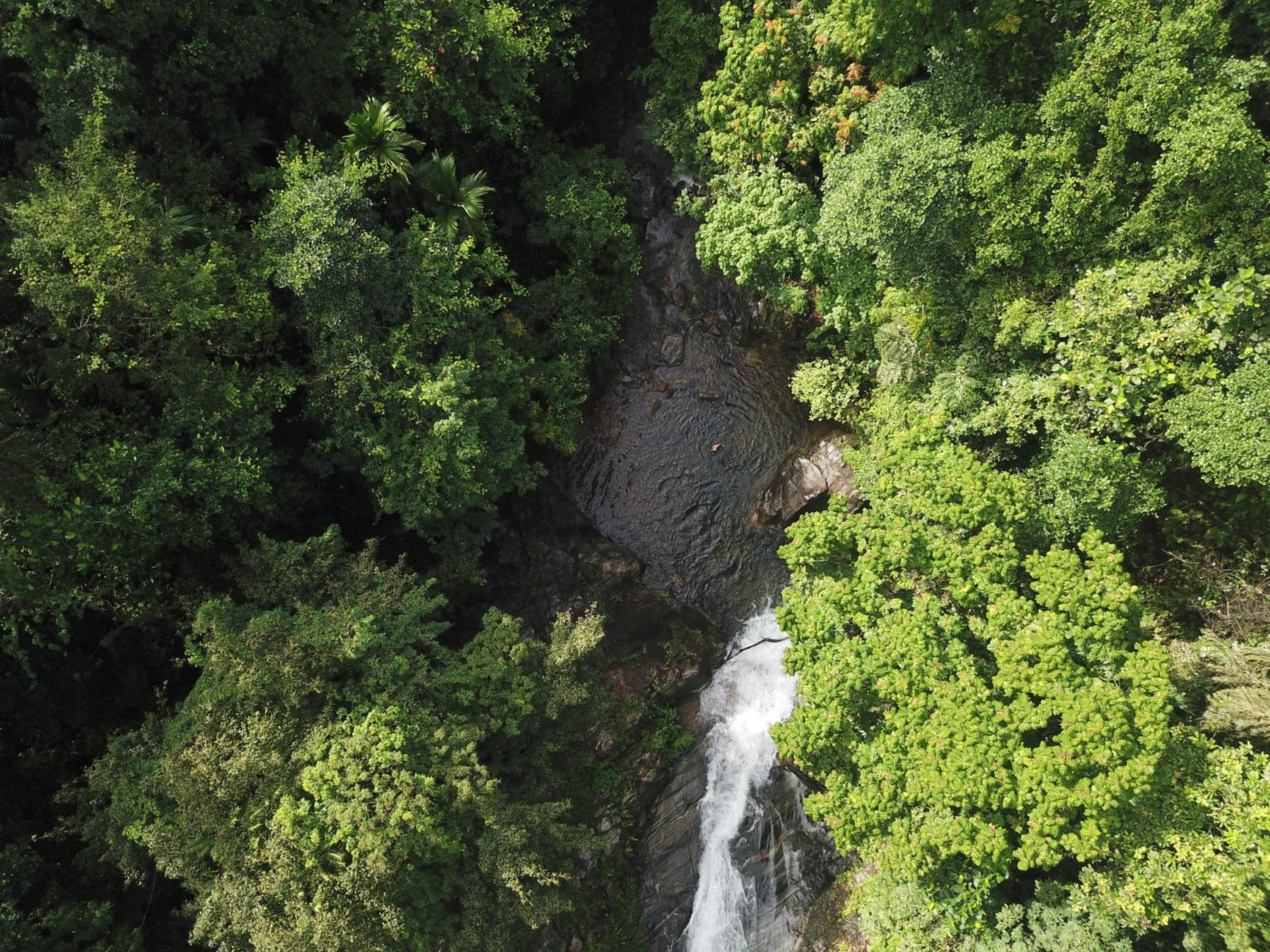 Gallene Gala Nature Resort view 5