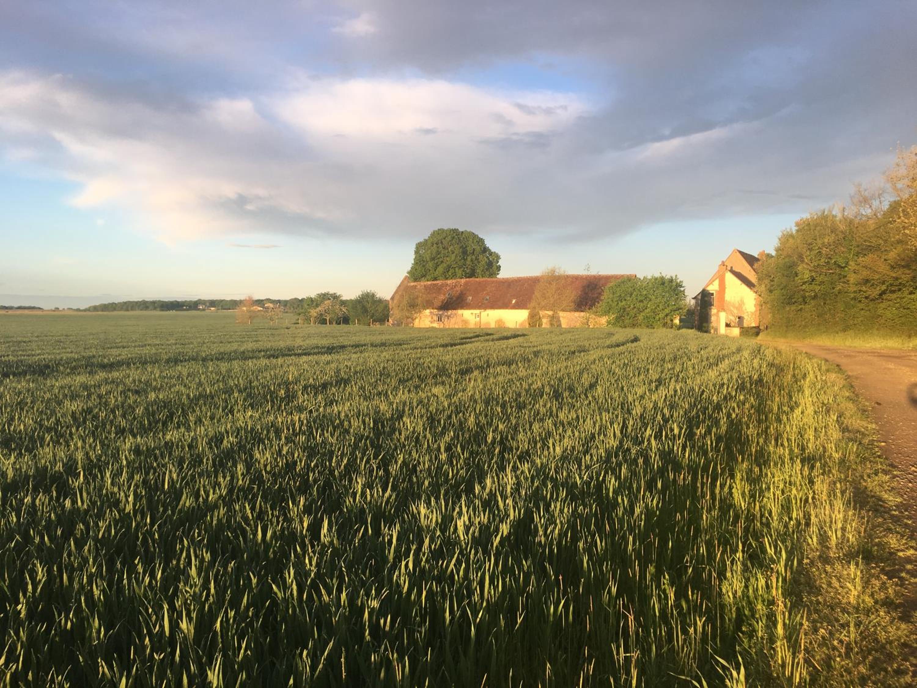 Le Grand Coudreau view 5