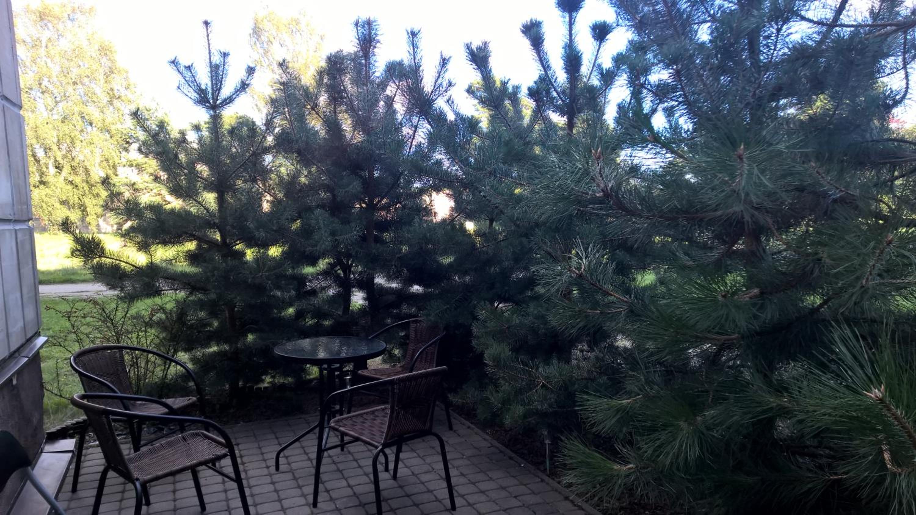 Photo 42
