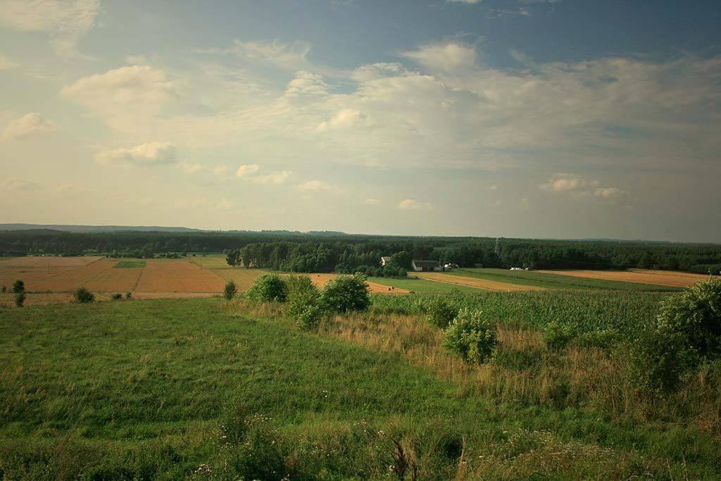 Photo 30