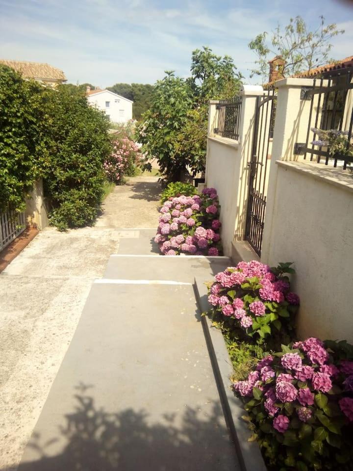 Apartman Vida view 2