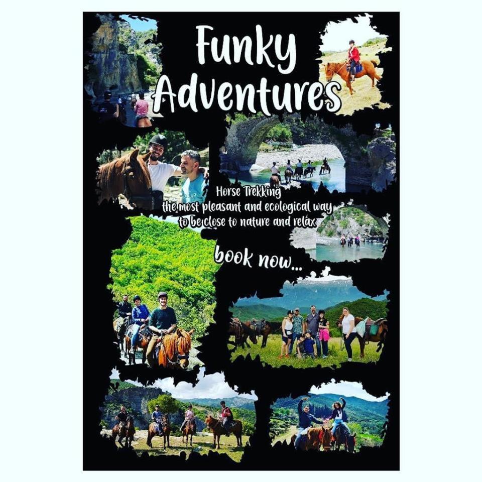 Funky Boutique Hotel & Adventures