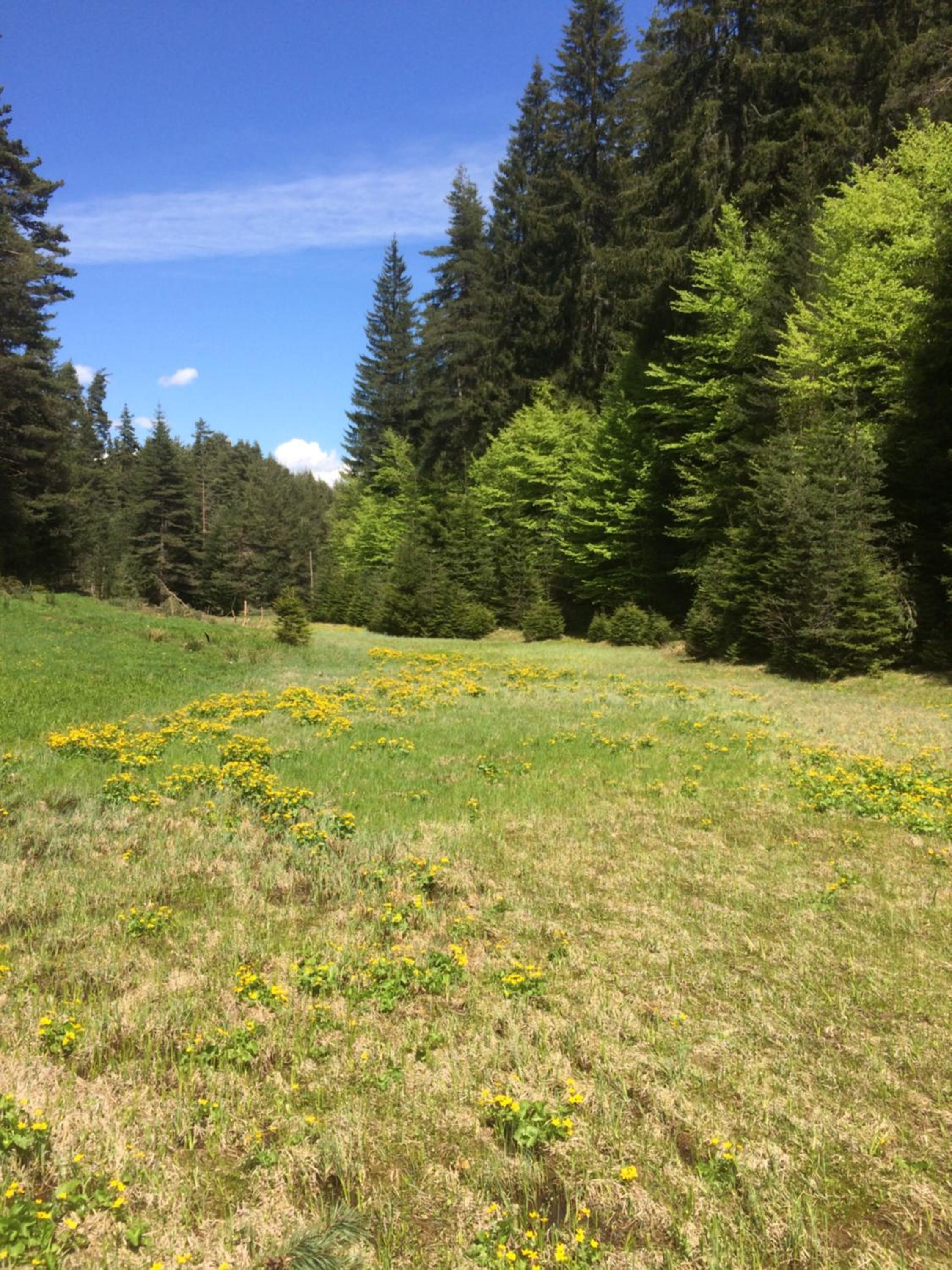 Photo 28